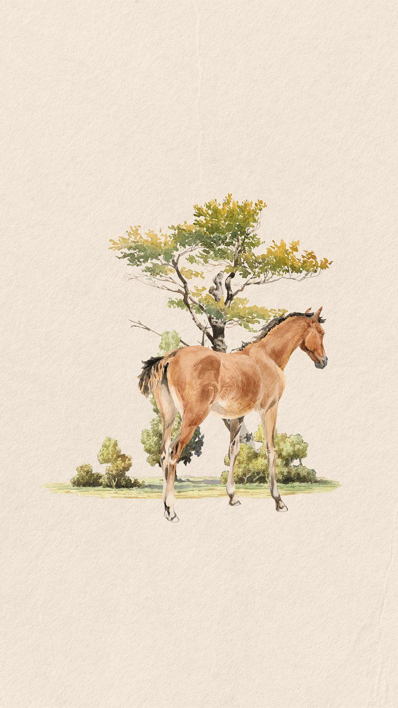 Horse Phone Wallpapers - 4k, HD Horse Phone Backgrounds on WallpaperBat