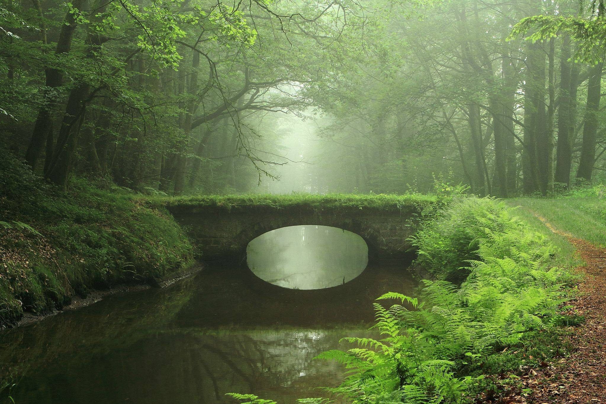 2047x1364 Black and brown wooden table, bridge, forest, river, moss HD ... Wallpaper