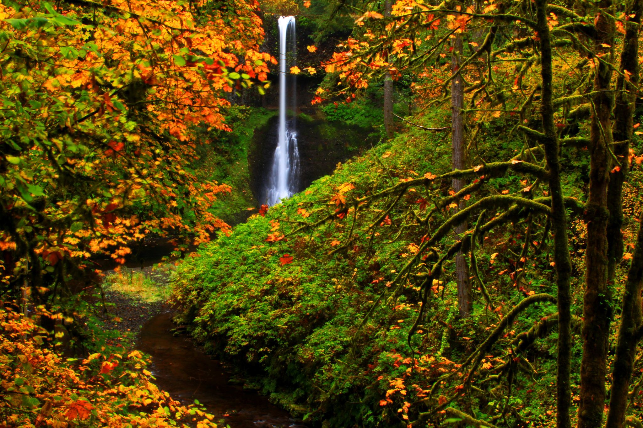 Oregon Fall Wallpapers 4k, HD Oregon Fall Backgrounds on WallpaperBat