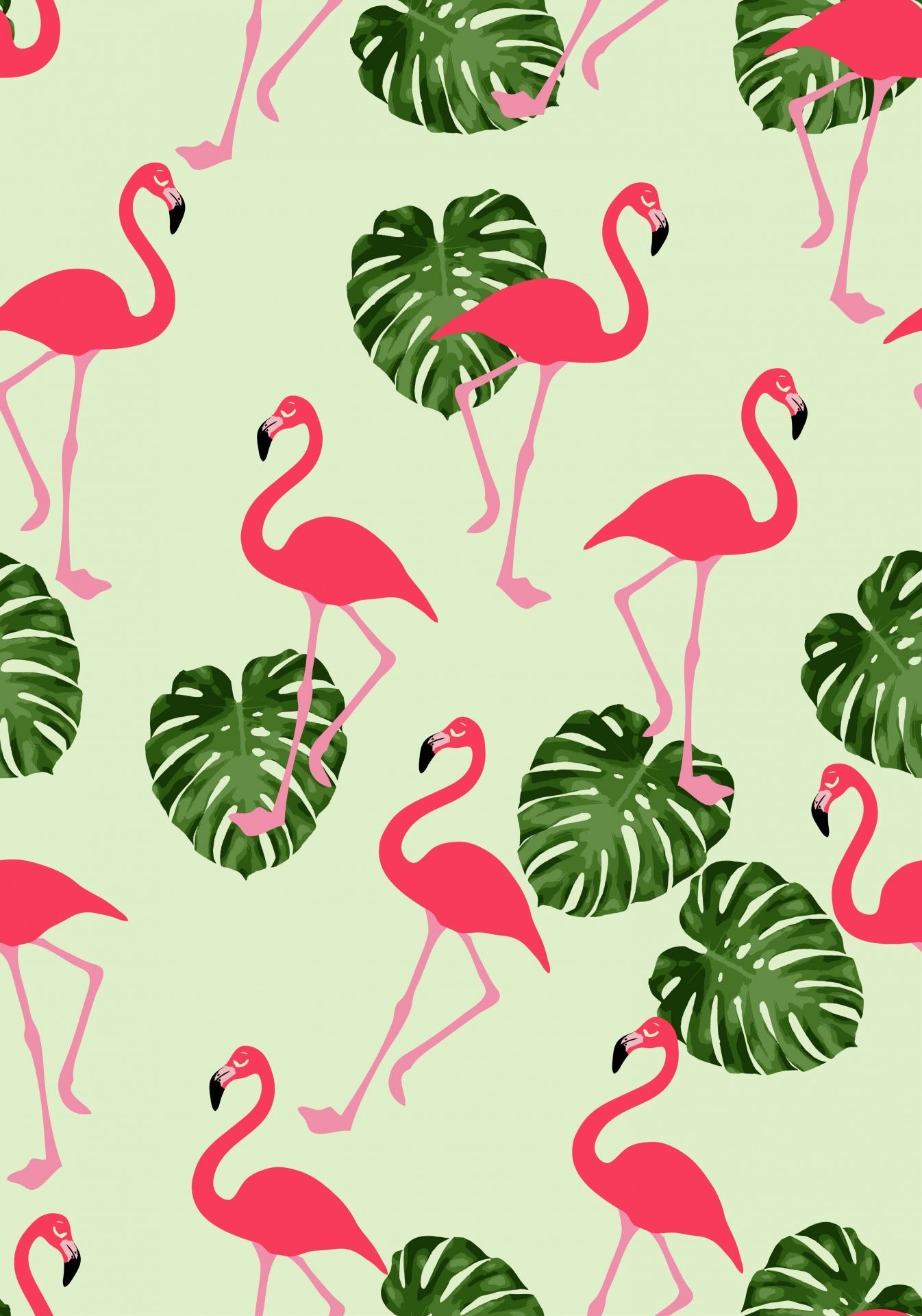 Flamingo Print Wallpapers 4k Hd Flamingo Print Backgrounds On Wallpaperbat