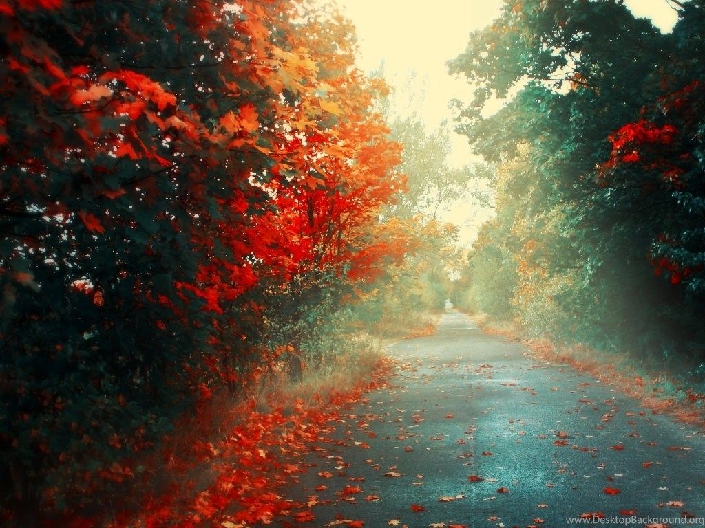 Autumn Rain Wallpapers - 4k, HD Autumn Rain Backgrounds on WallpaperBat