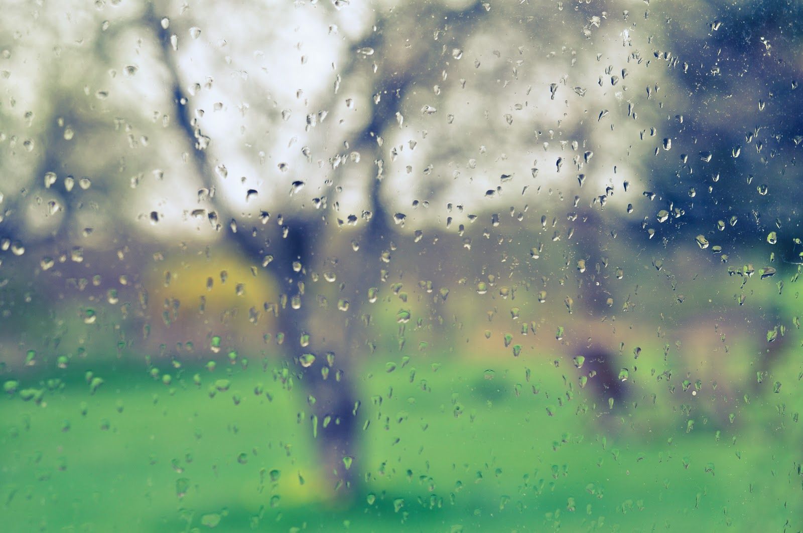 Ливни дождя песня. The Rainy Day.