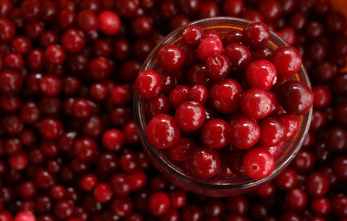 Cranberry Wallpapers - 4k, HD Cranberry Backgrounds on WallpaperBat