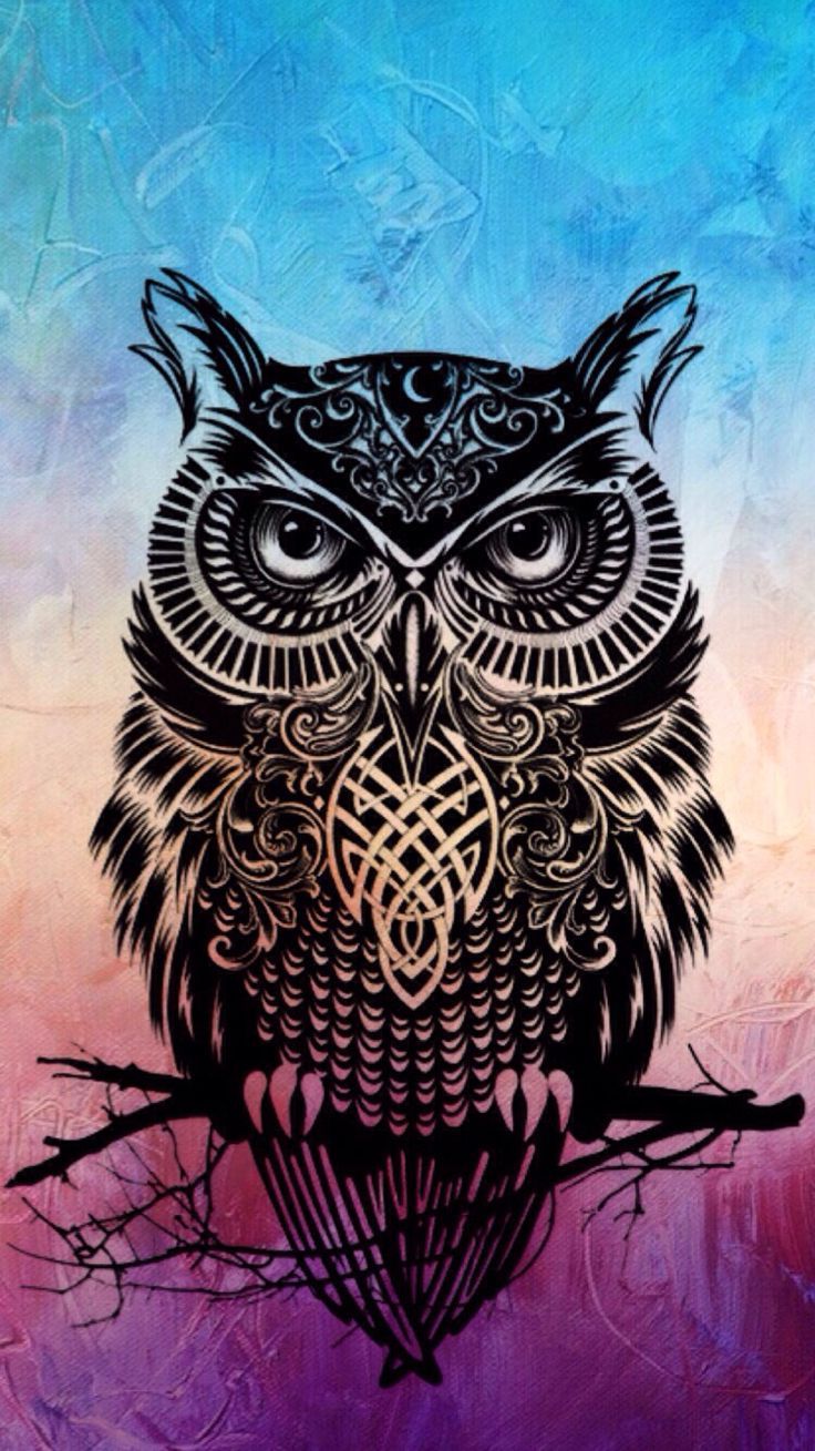 736x1309 Owl Tumblr Wallpaper , (32+) Pictures Wallpaper