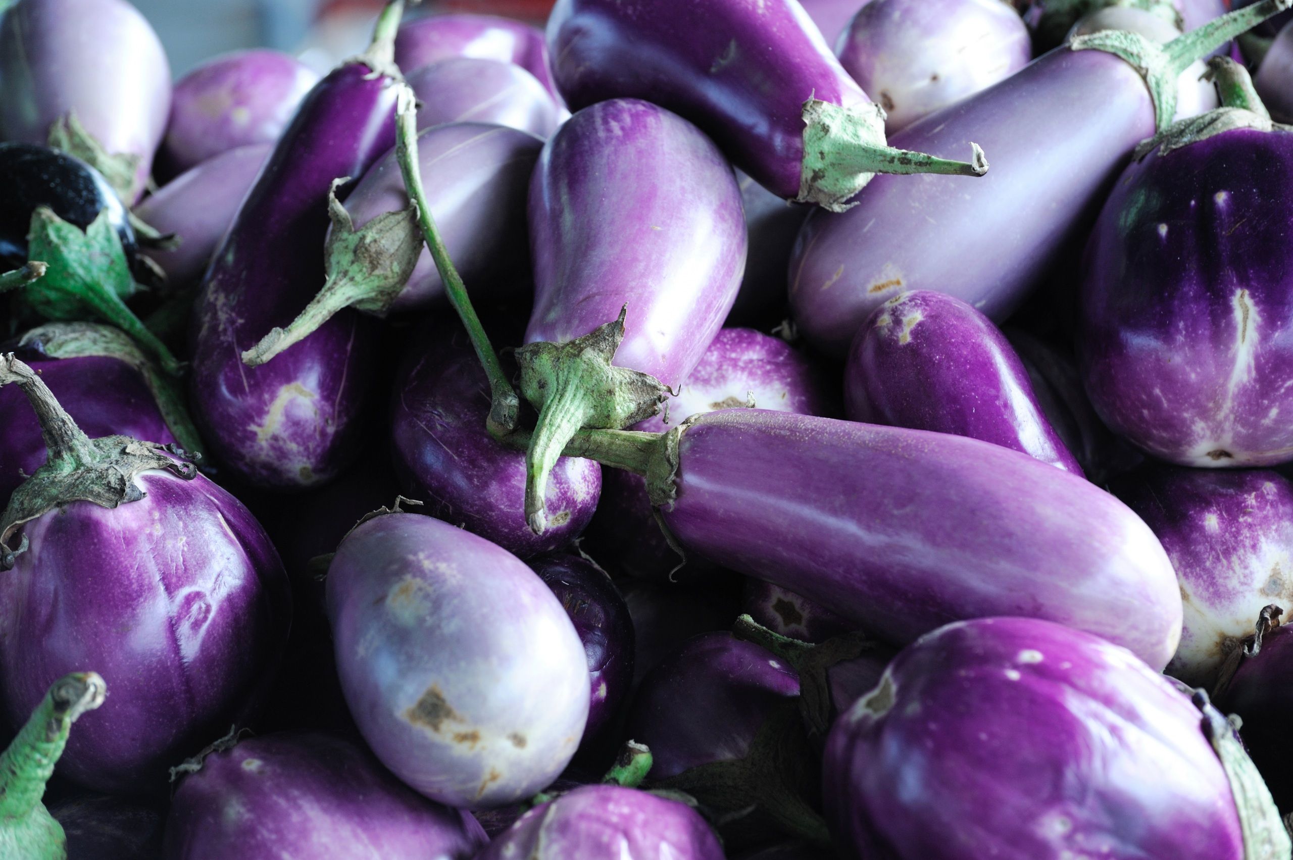 Eggplant Wallpapers - 4k, HD Eggplant Backgrounds on WallpaperBat