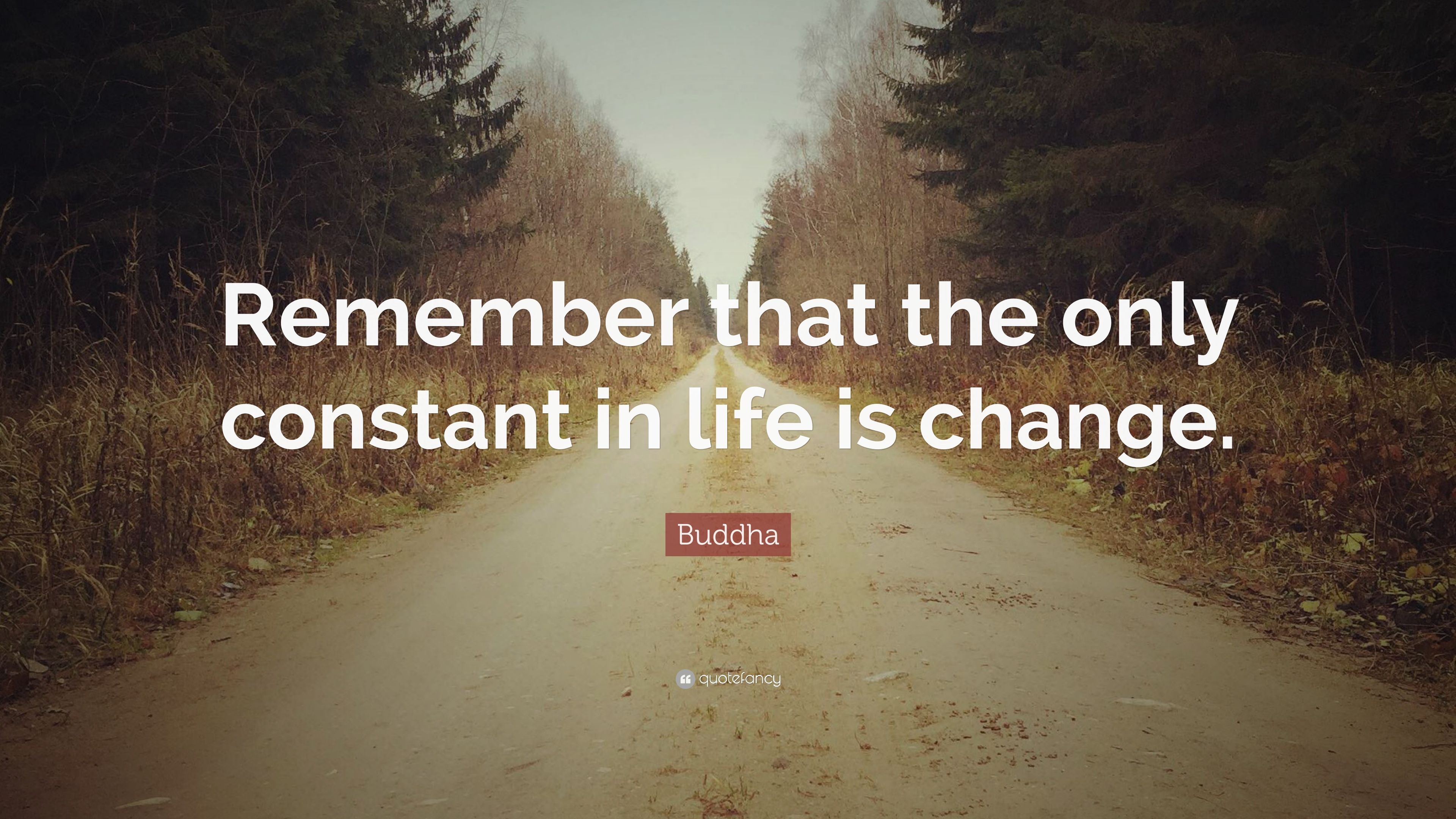 Buddha Quotes Wallpapers - 4k, HD Buddha Quotes Backgrounds on WallpaperBat