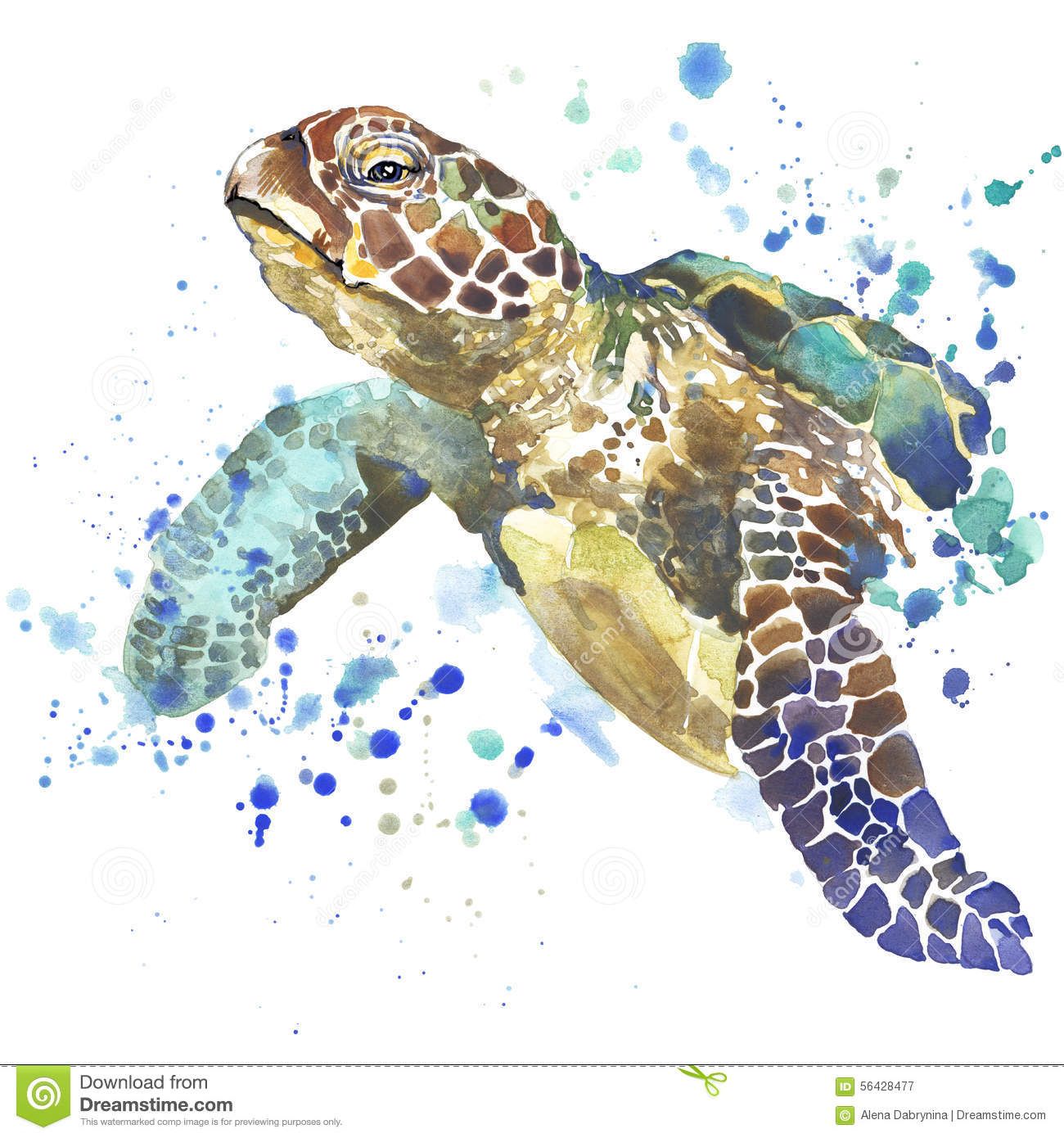 Turtle Watercolor Wallpapers - 4k, HD Turtle Watercolor Backgrounds on ...