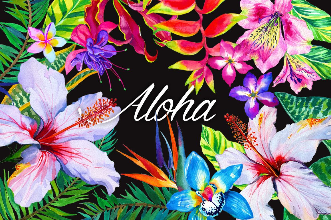 Aloha Hawaii Wallpapers - 4k, HD Aloha Hawaii Backgrounds on WallpaperBat