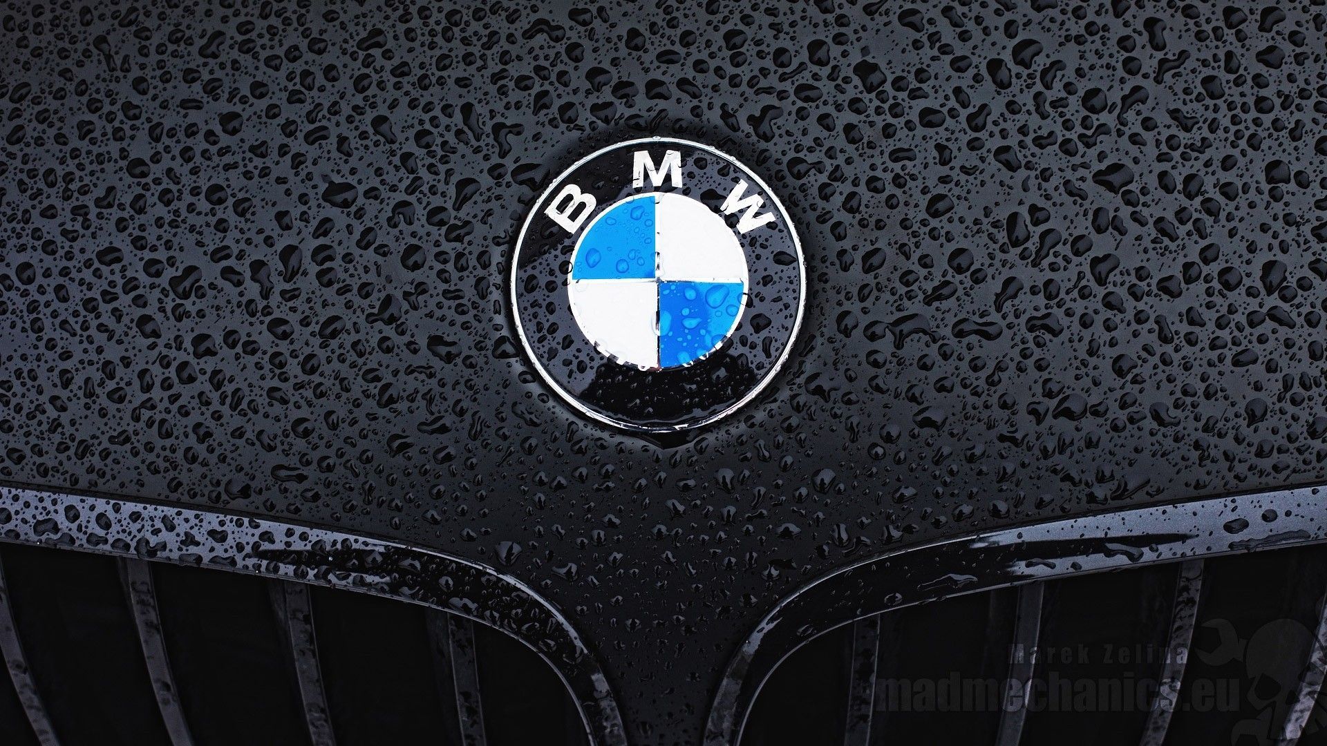 Bmw Logo Wallpapers 4k Hd Bmw Logo Backgrounds On Wallpaperbat