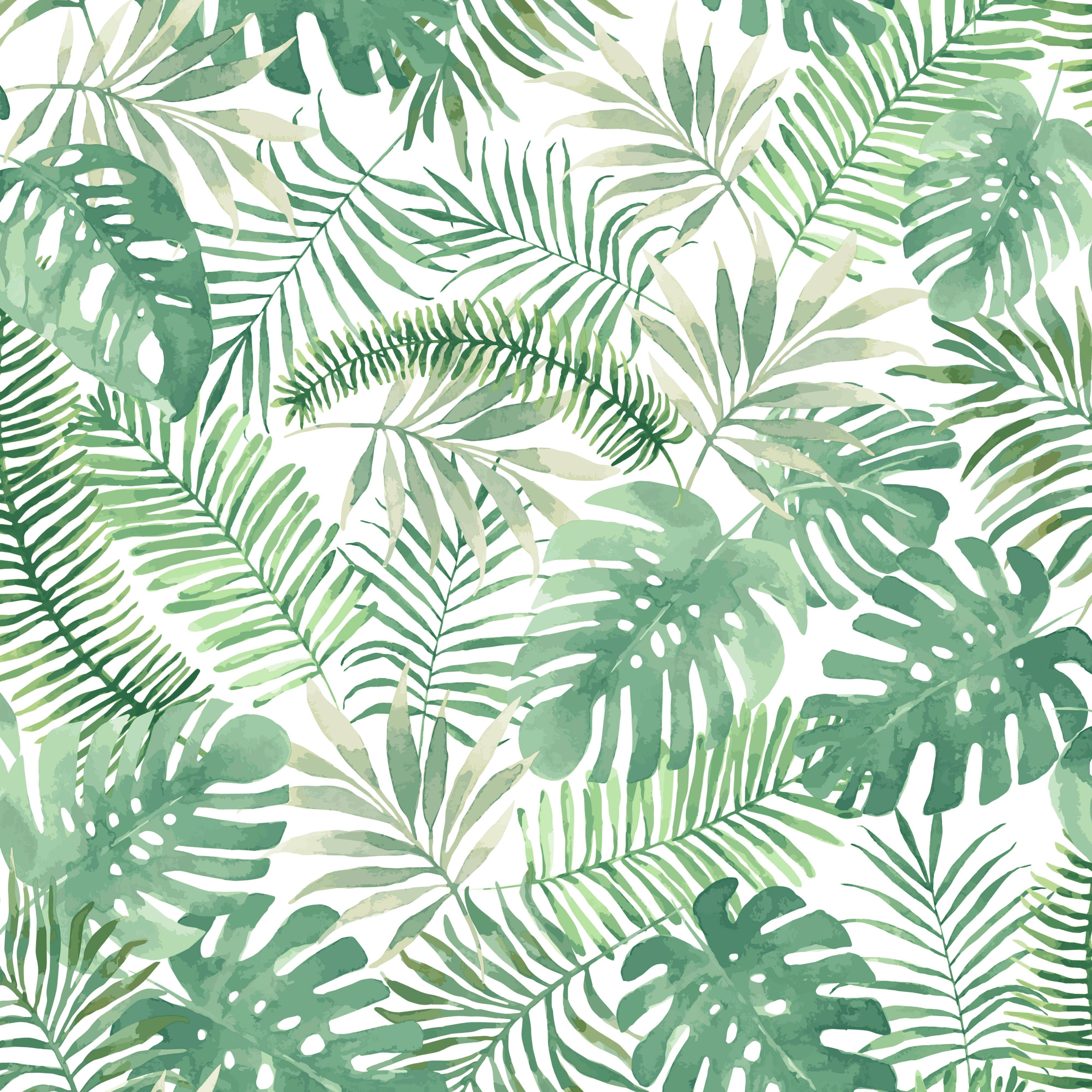 Tropical Pattern Wallpapers - 4k, HD Tropical Pattern Backgrounds on
