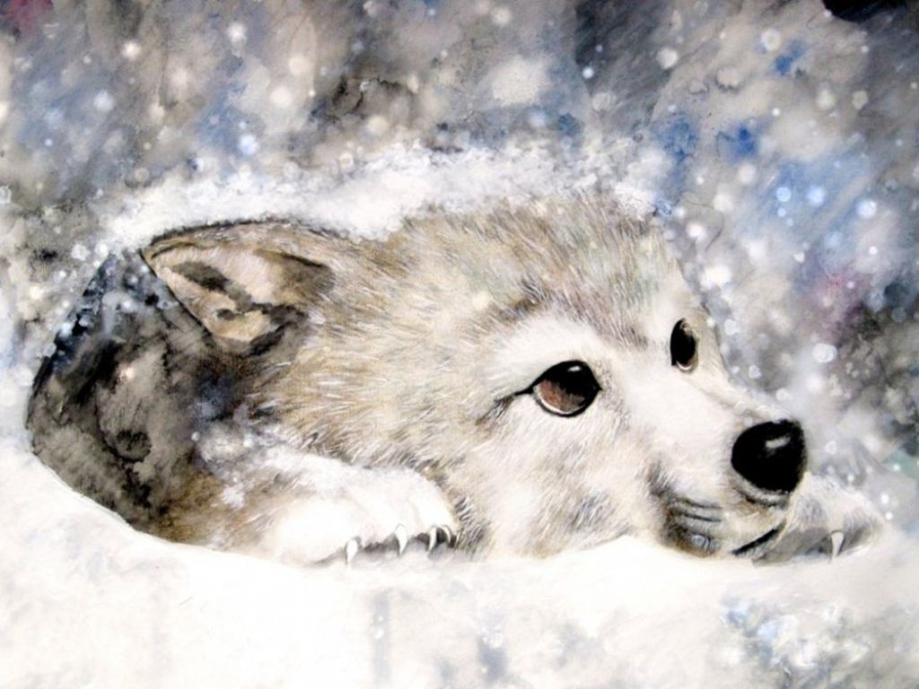 1024x768 Wolf Christmas Wallpaper on WallpaperBat.