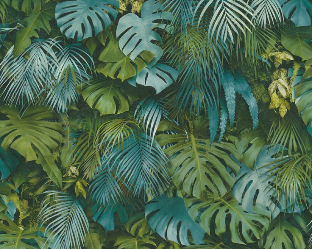 Jungle Wallpapers 4k Hd Jungle Backgrounds On Wallpaperbat
