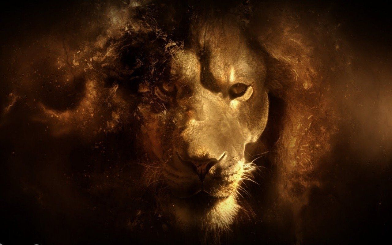 Leo Zodiac Wallpapers - 4k, HD Leo Zodiac Backgrounds on WallpaperBat