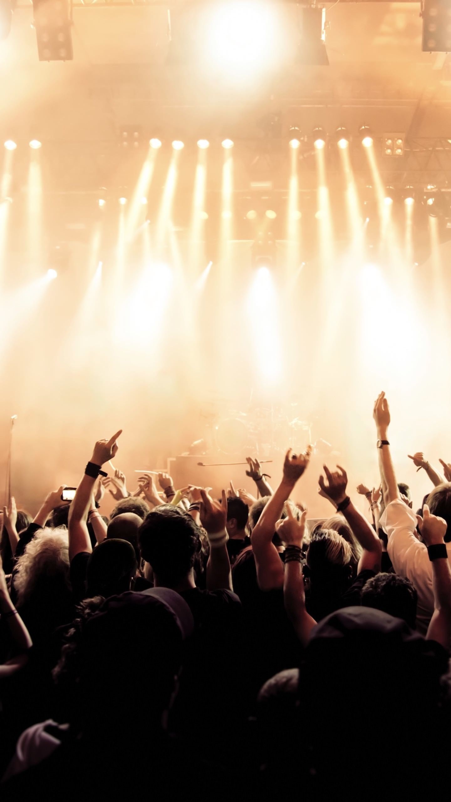 1440x2560 Concert Crowd Wallpaper (65+ images) Wallpaper