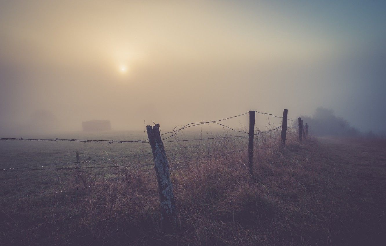 Foggy Field Wallpapers 4k Hd Foggy Field Backgrounds On Wallpaperbat