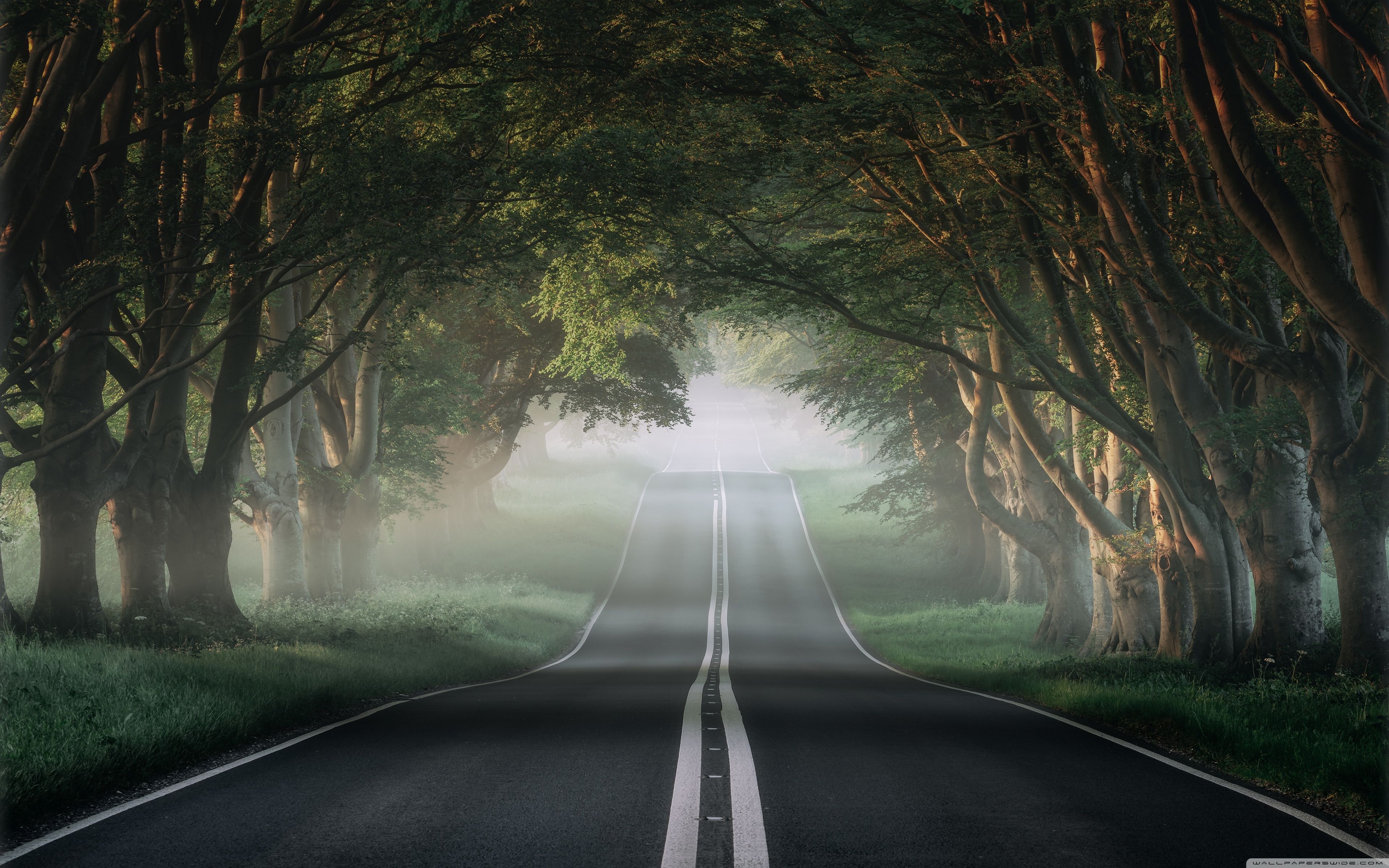 beautiful-road-wallpapers-4k-hd-beautiful-road-backgrounds-on