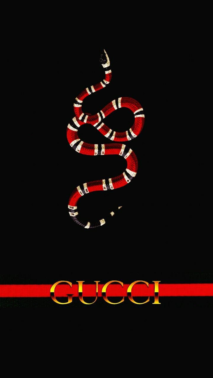 Gucci Snake Wallpapers - 4k, HD Gucci Snake Backgrounds on WallpaperBat