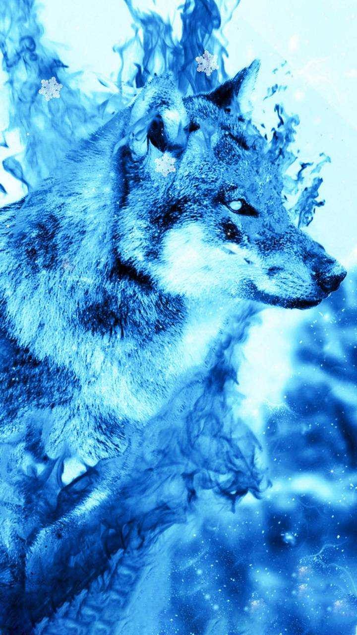 Water Wolf Wallpapers - 4k, HD Water Wolf Backgrounds on WallpaperBat