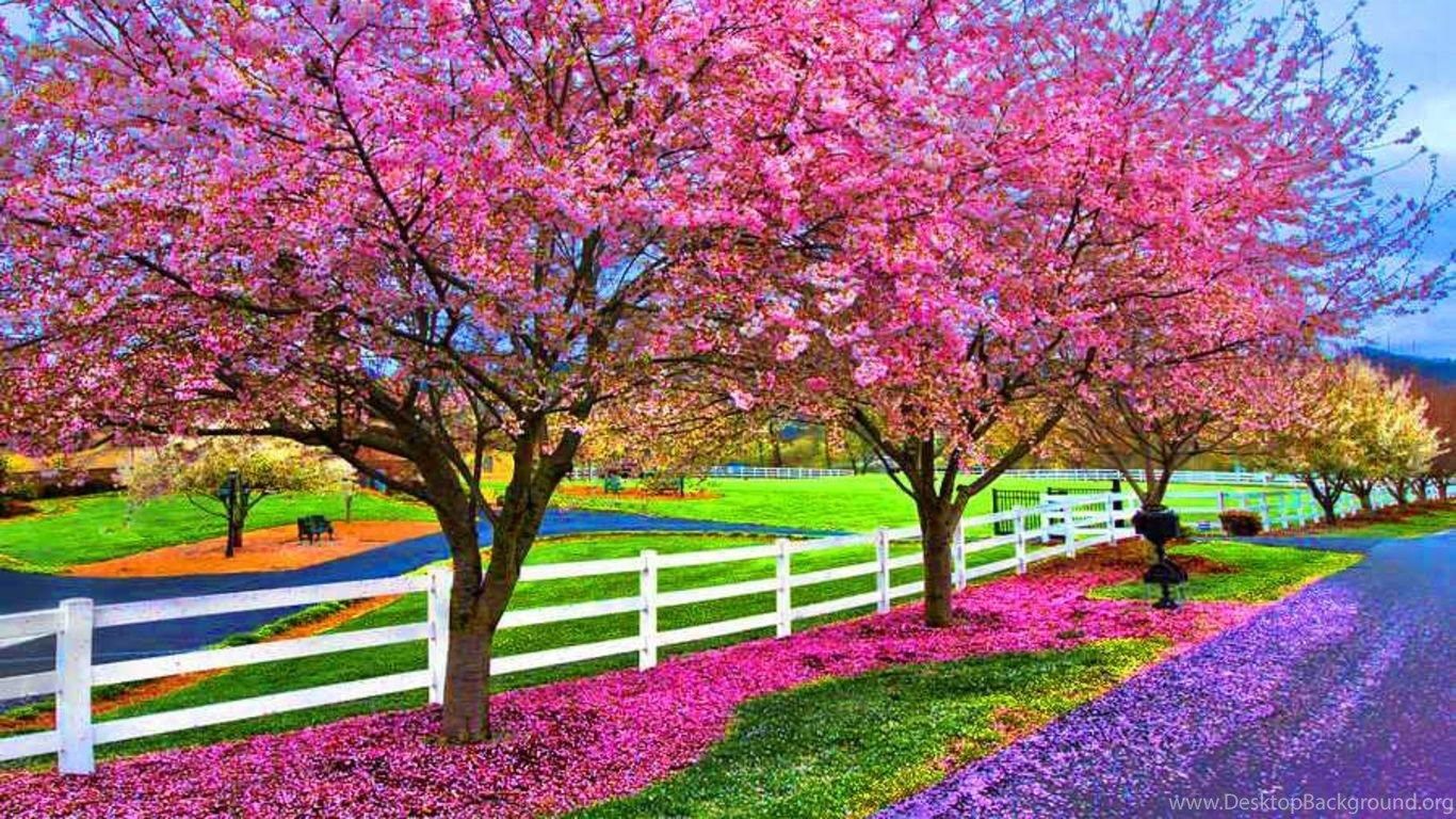 1366x768 A Beautiful Spring Day Computer Wallpaper, Desktop Background on W...