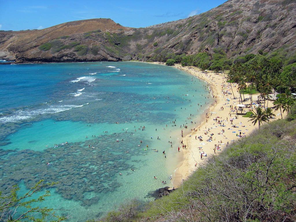 Hanauma Bay Wallpapers - 4k, HD Hanauma Bay Backgrounds on WallpaperBat