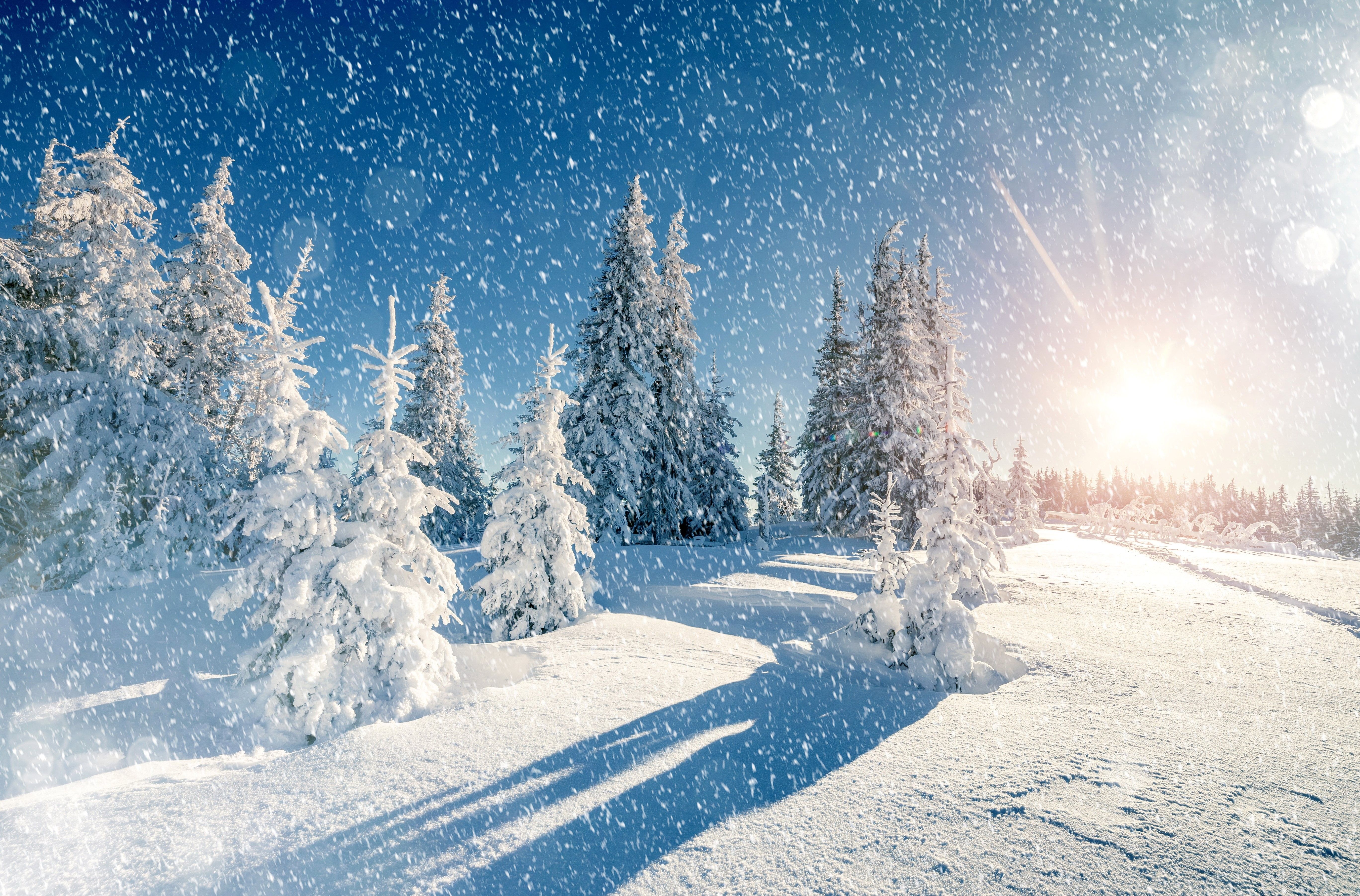 5472x3606 Background Image, Download, Fresh, winter, Landscape, Nature Abstract HD Wallpaper, Snow on WallpaperBat