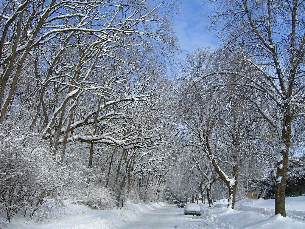 1024x768 Wisconsin, winter of '08 | Stevens Street in Madison after t… | Flickr Wallpaper