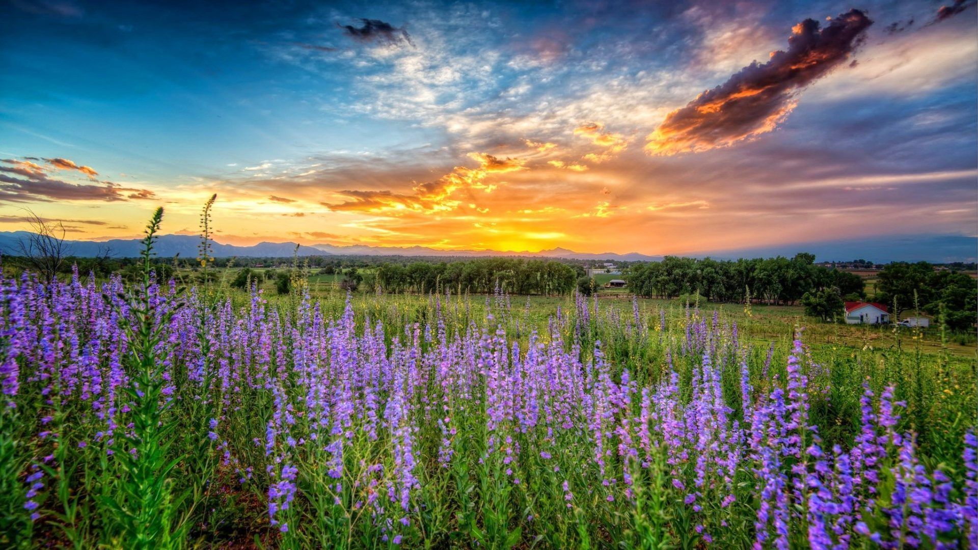 Spring Sunset Wallpapers - 4k, HD Spring Sunset Backgrounds on WallpaperBat