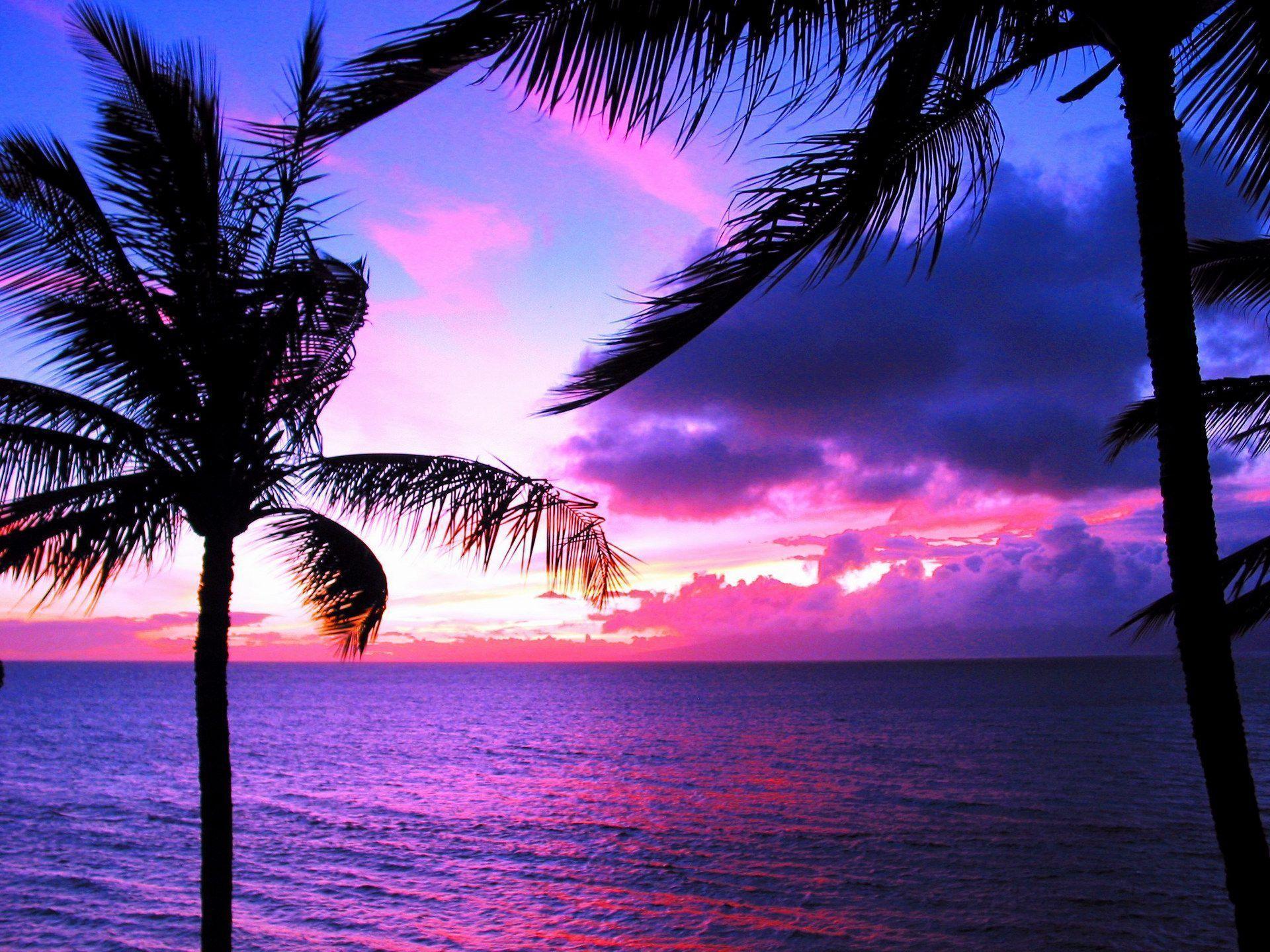 sunset-hawaii-beach-desktop-wallpapers-4k-hd-sunset-hawaii-beach