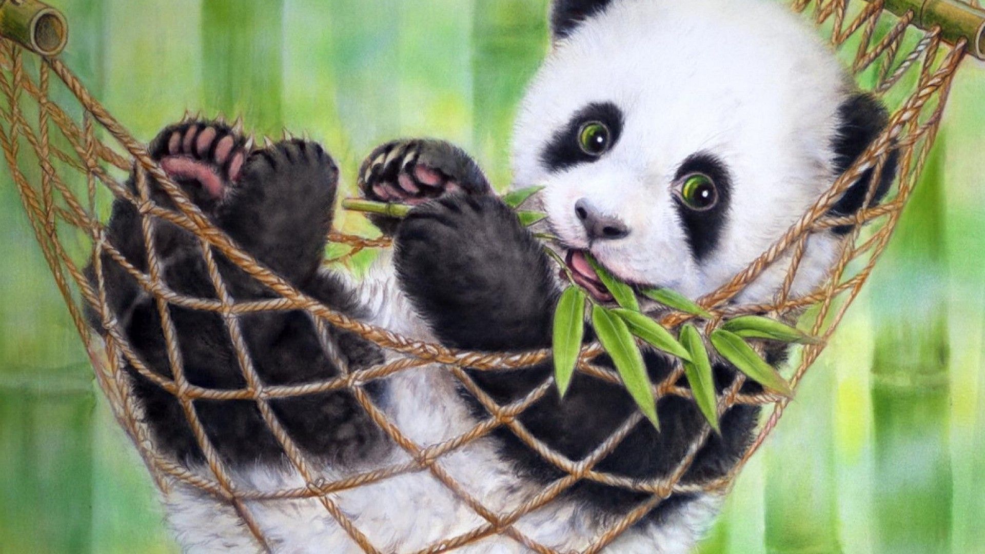 Cute Baby Panda Wallpapers 4k Hd Cute Baby Panda Backgrounds On Wallpaperbat