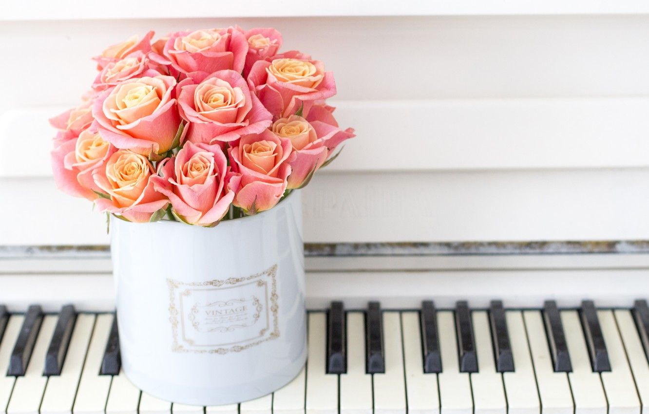 1332x850 Wallpaper love, flowers, box, roses, bouquet, piano, love, piano, pink, flowers, romantic, roses, cute image for desktop, section цветы on WallpaperBat