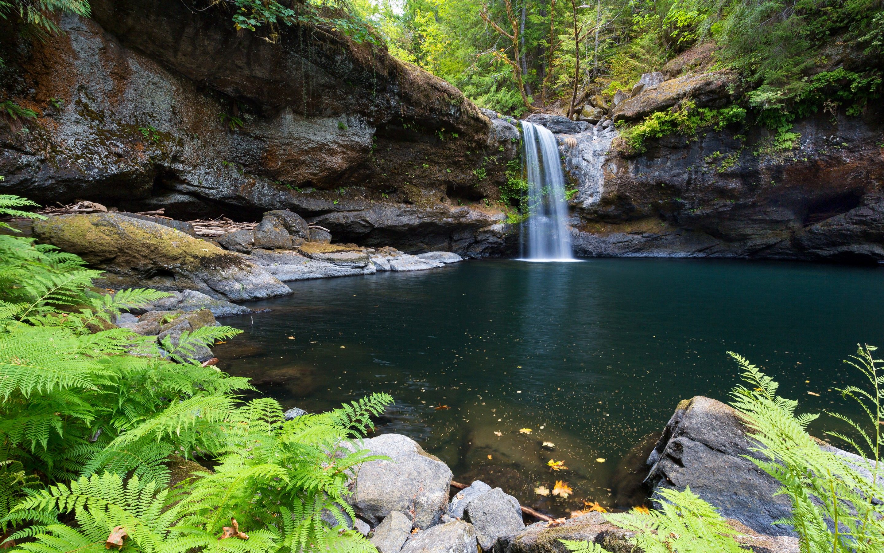 Oregon Nature Wallpapers - 4k, HD Oregon Nature Backgrounds on WallpaperBat