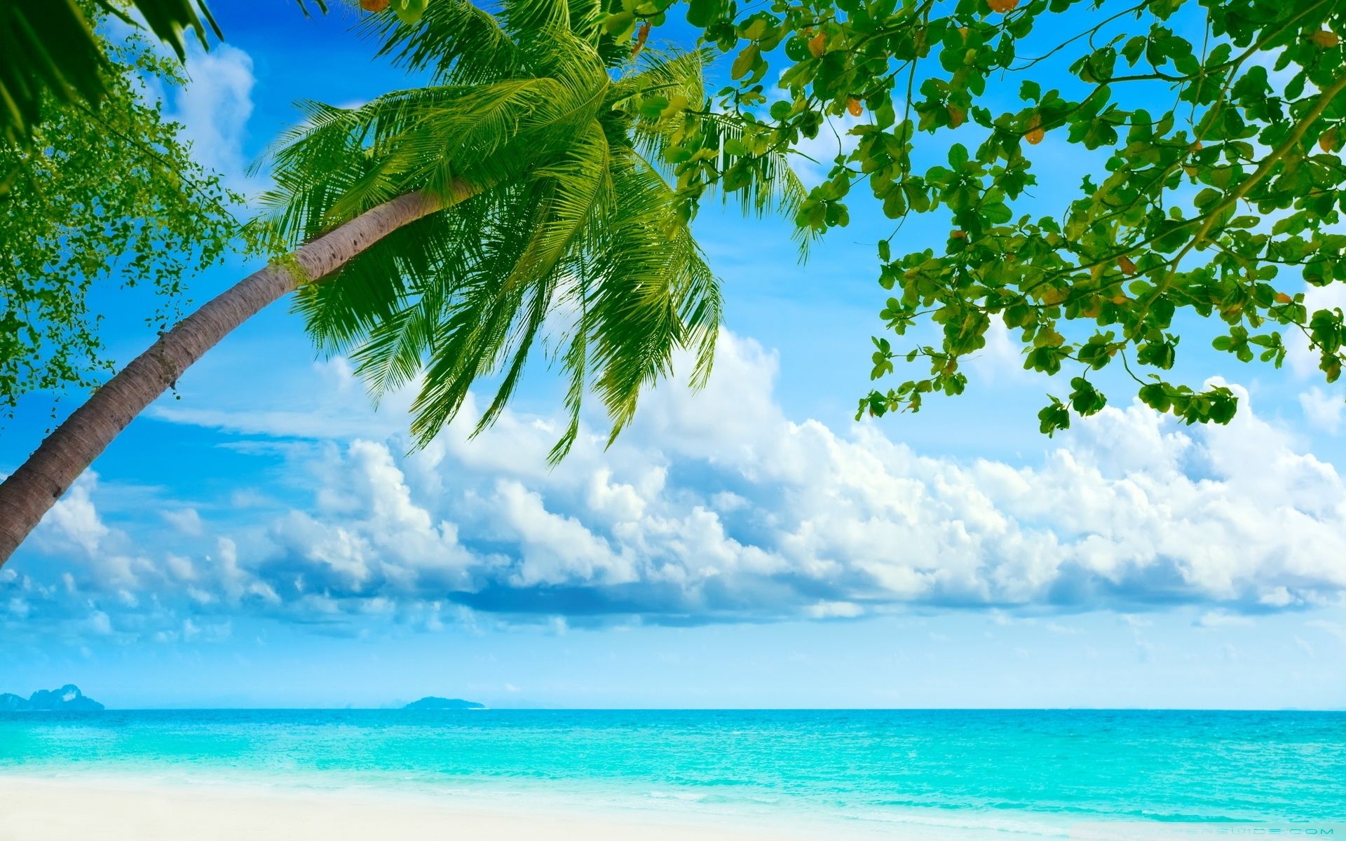 hitman 2 pc wallpaper beach hitman 2 pc wallpaper beach