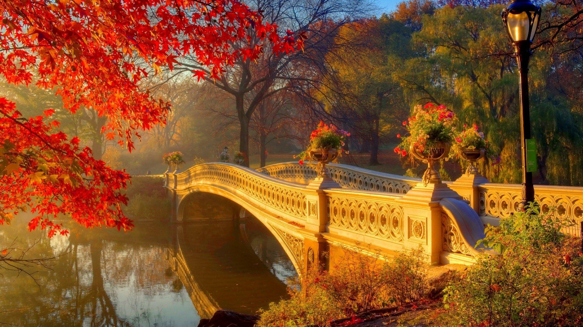 Central Park Fall Wallpapers 4k Hd Central Park Fall Backgrounds On