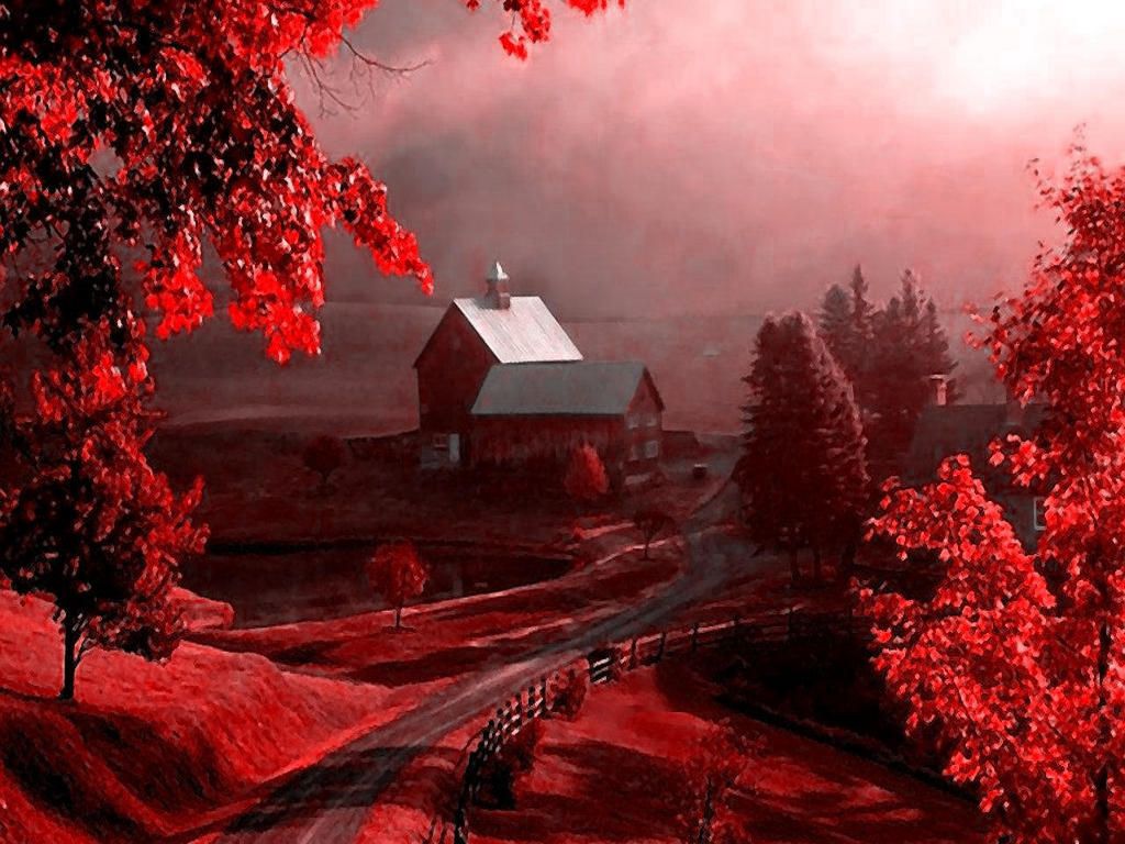 Red Nature Wallpapers - 4k, HD Red Nature Backgrounds on WallpaperBat