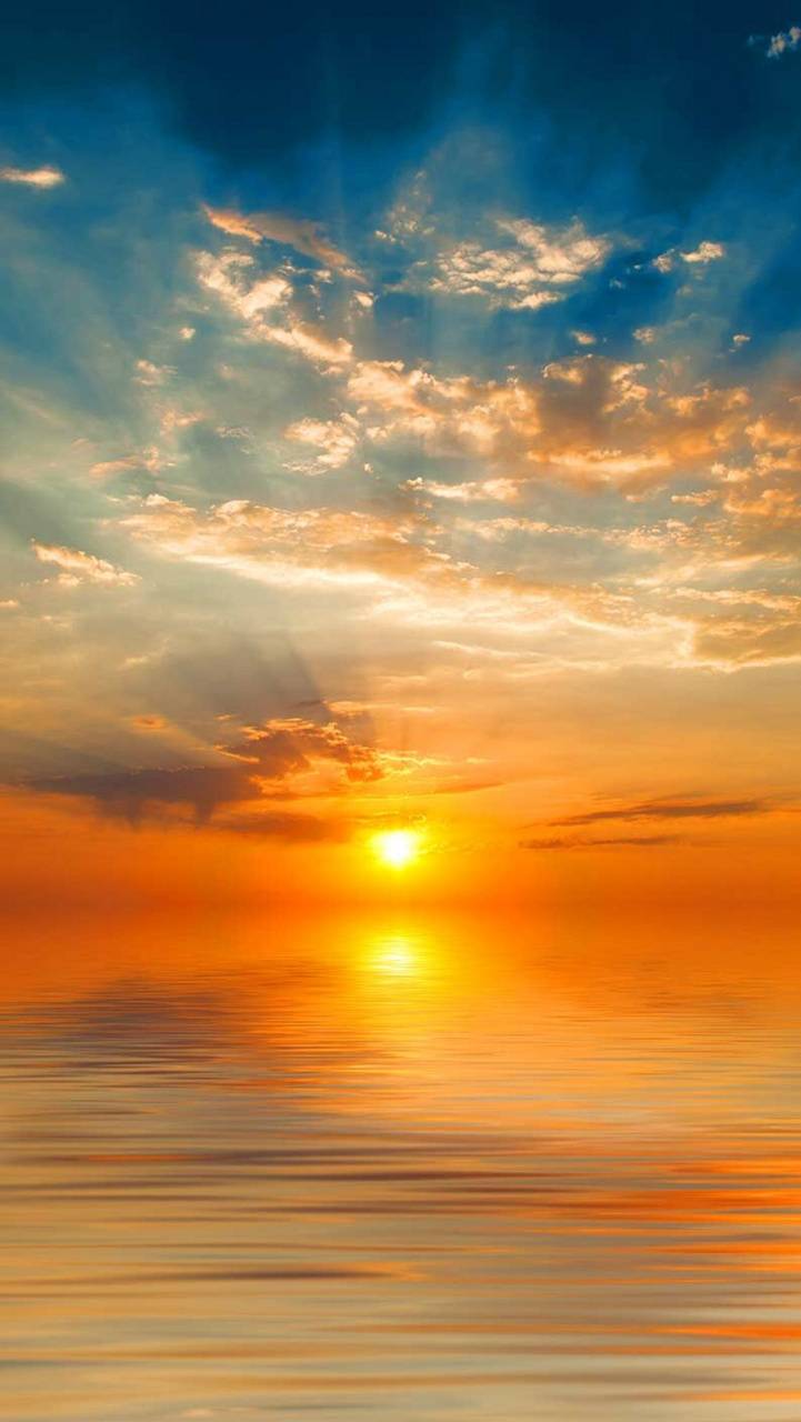 Bright Sunrise Wallpapers - 4k, HD Bright Sunrise Backgrounds on ...