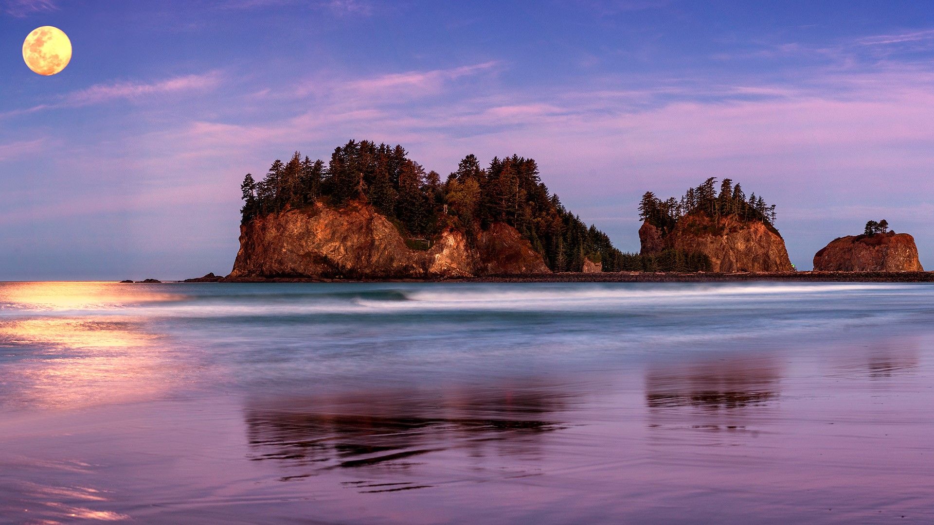 1920x1080 Full Moon above First Beach of La Push, Olympic National Park on WallpaperBat