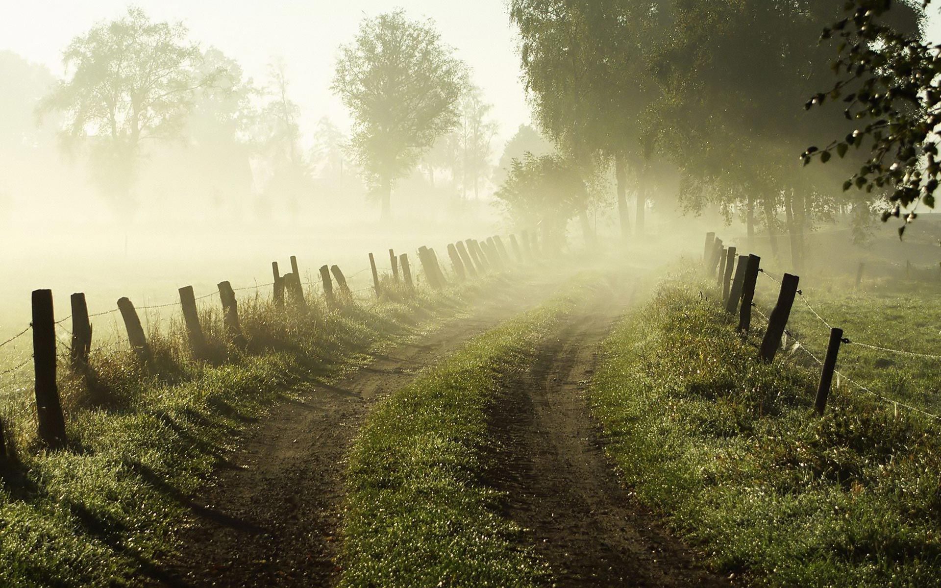 1920x1200 Morning Fog. Country roads, Landscape, Nature on WallpaperBat