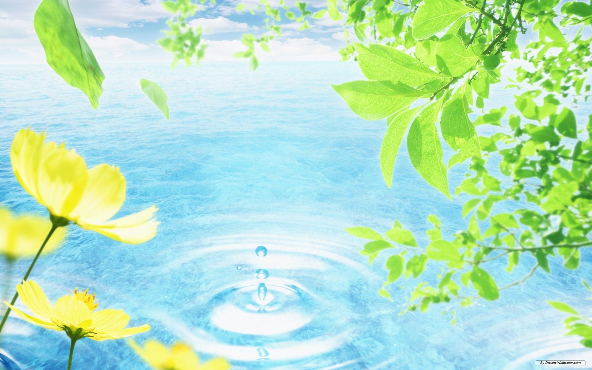 Environment Wallpapers - 4k, HD Environment Backgrounds on WallpaperBat