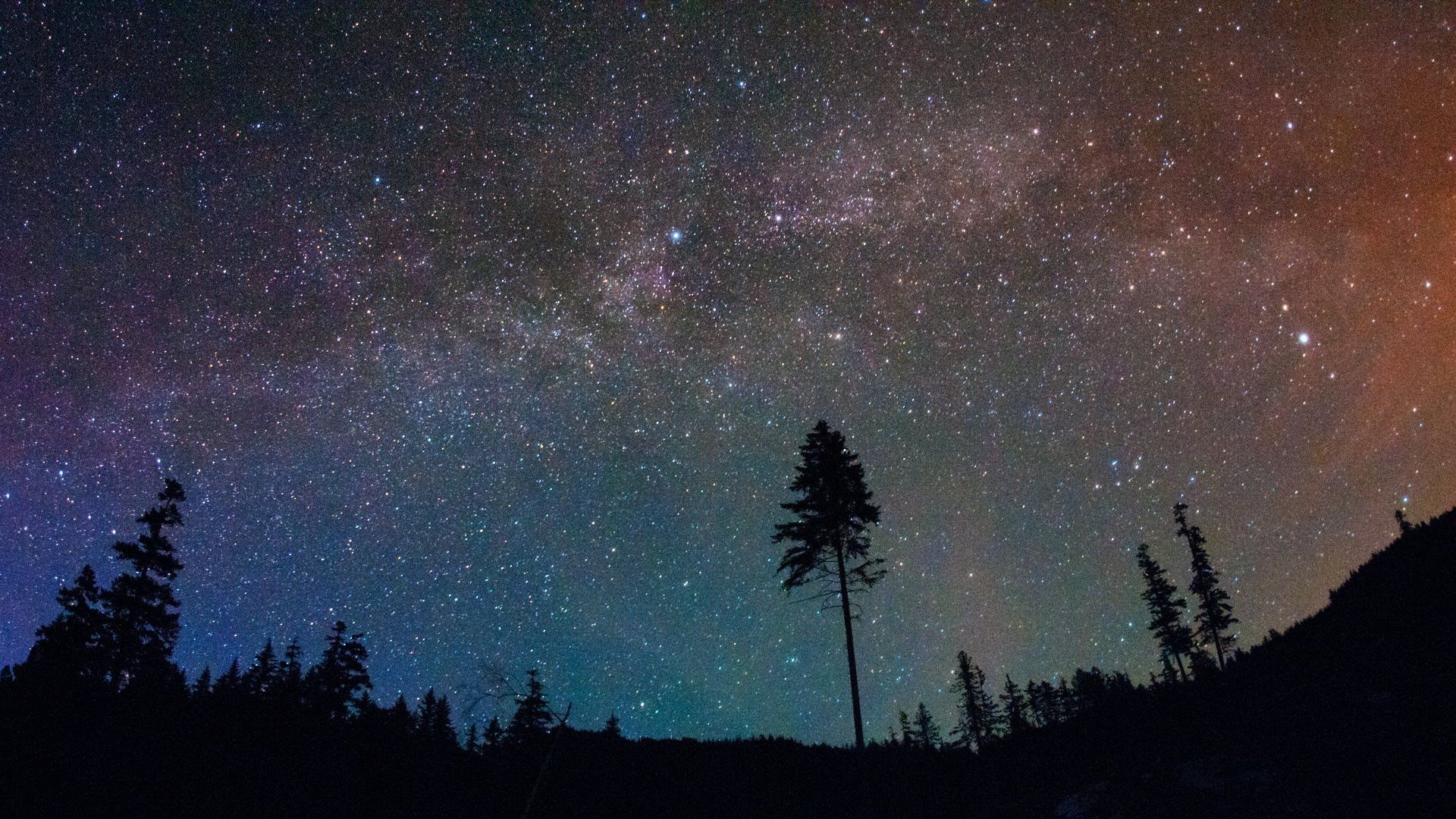 Кемп Пасифик. Pacific Northwest. Camping at Night. Camping Night.