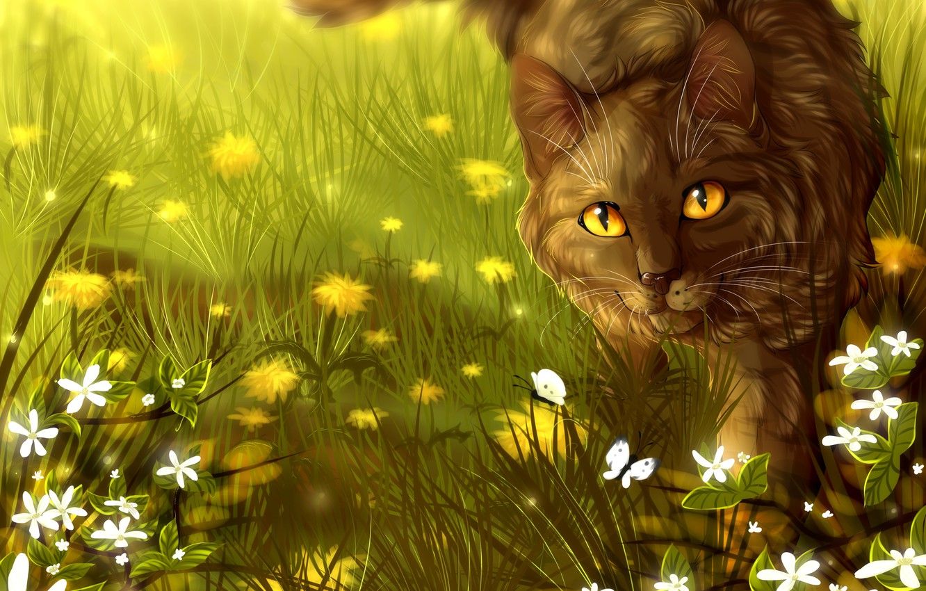 Warrior Cats Wallpapers - 4k, HD Warrior Cats Backgrounds on WallpaperBat