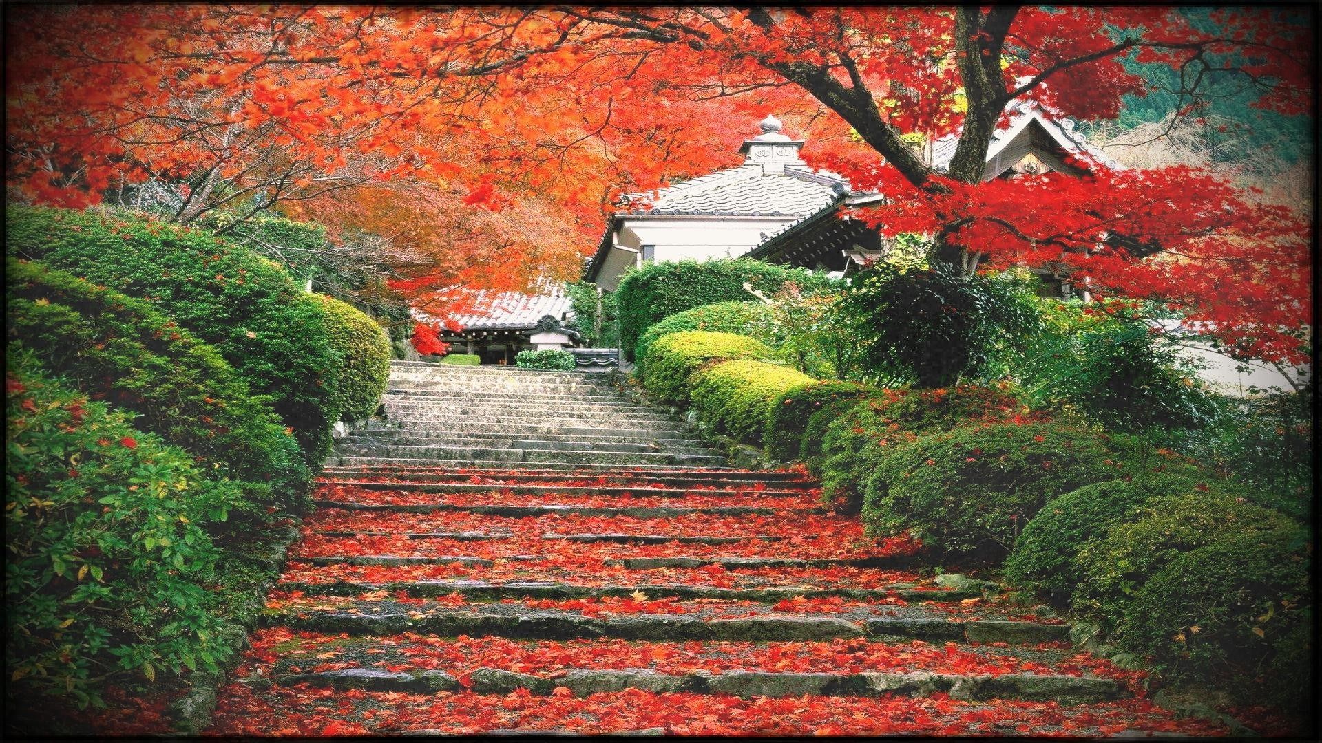 Japan Landscape Wallpapers - 4k, HD Japan Landscape Backgrounds on ...