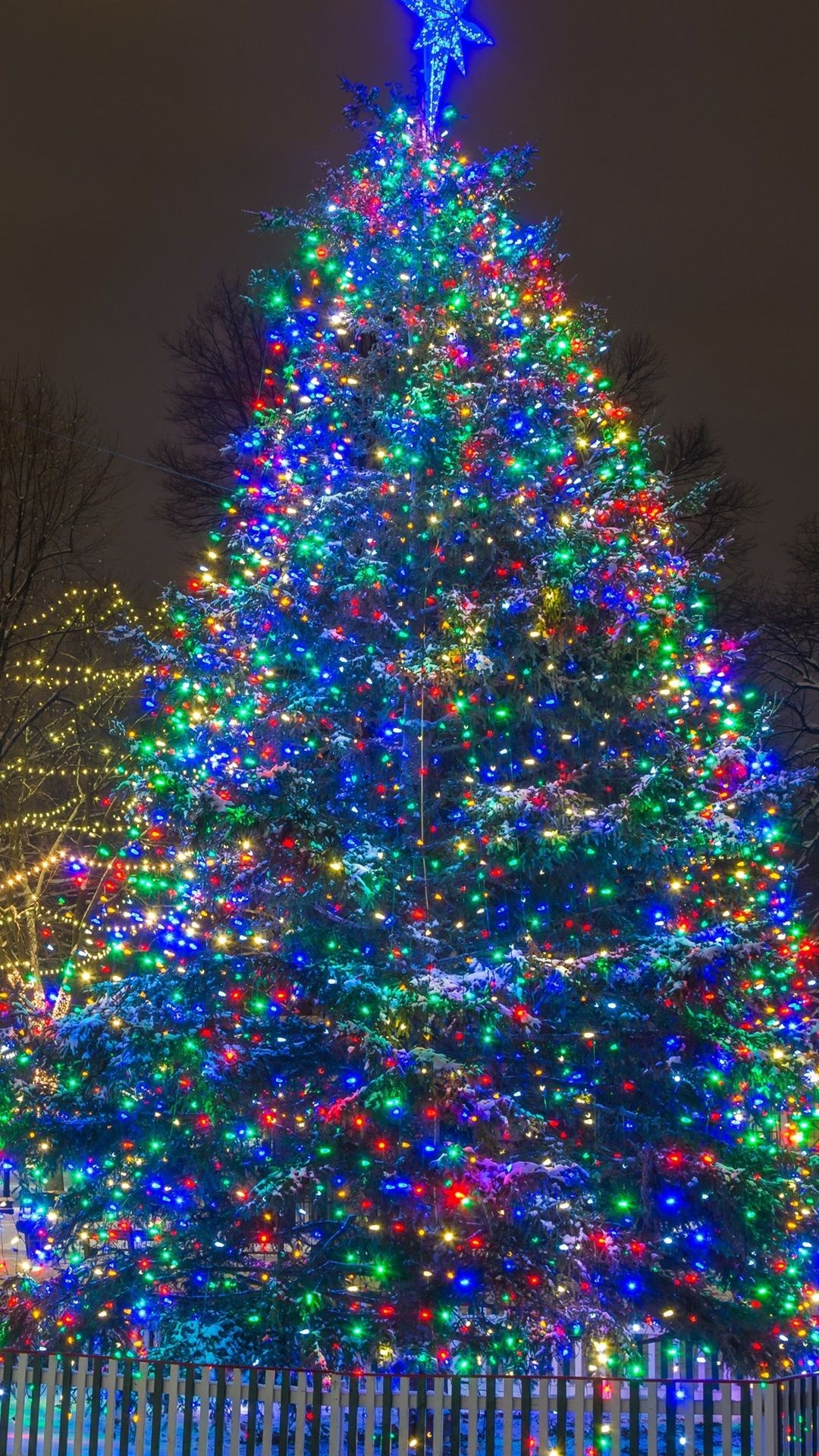 1080x1920 New Year, Christmas tree, lights, night, winter, snow, city on WallpaperBat