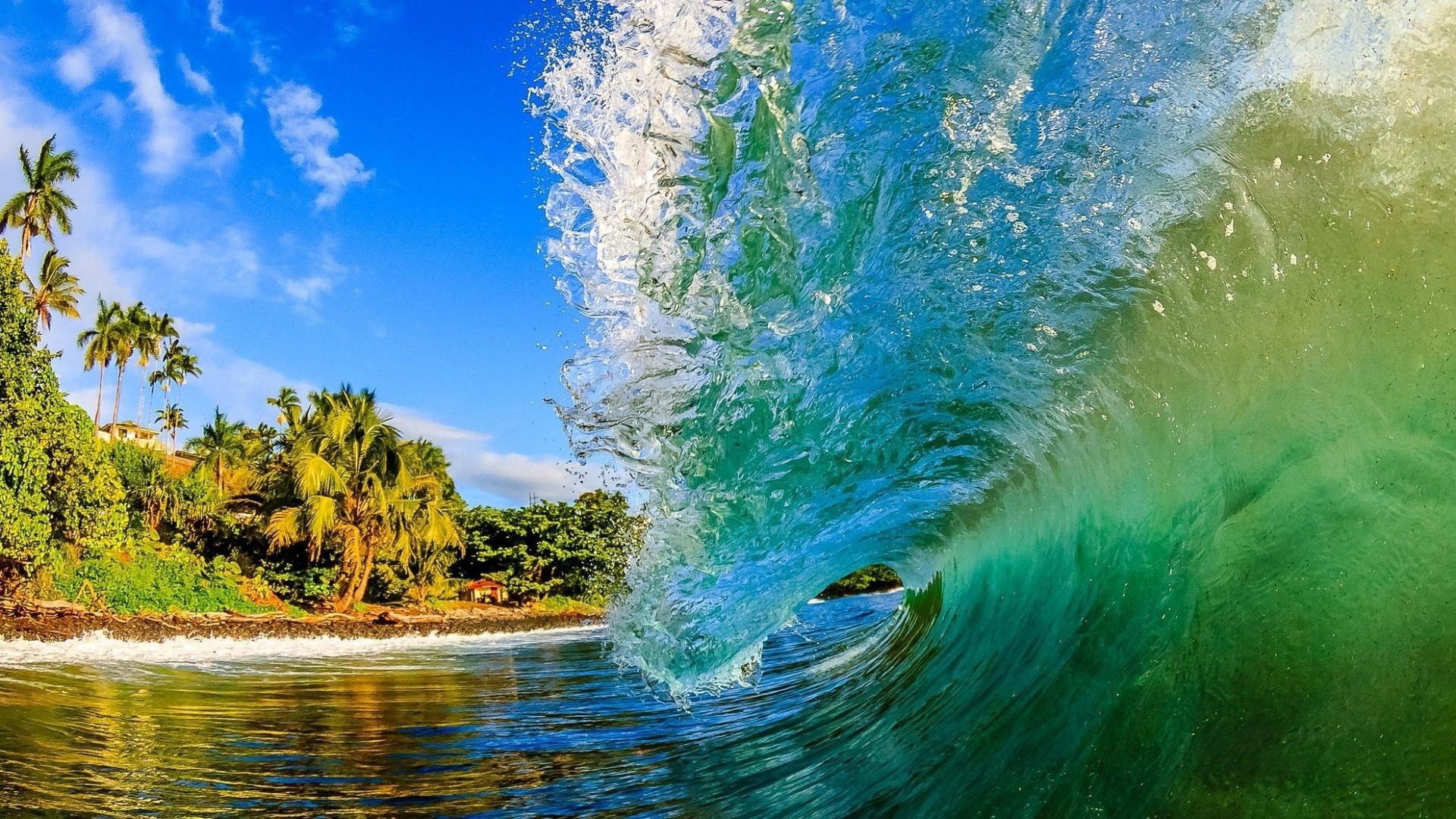 Hawaiian Surfing Wallpapers.