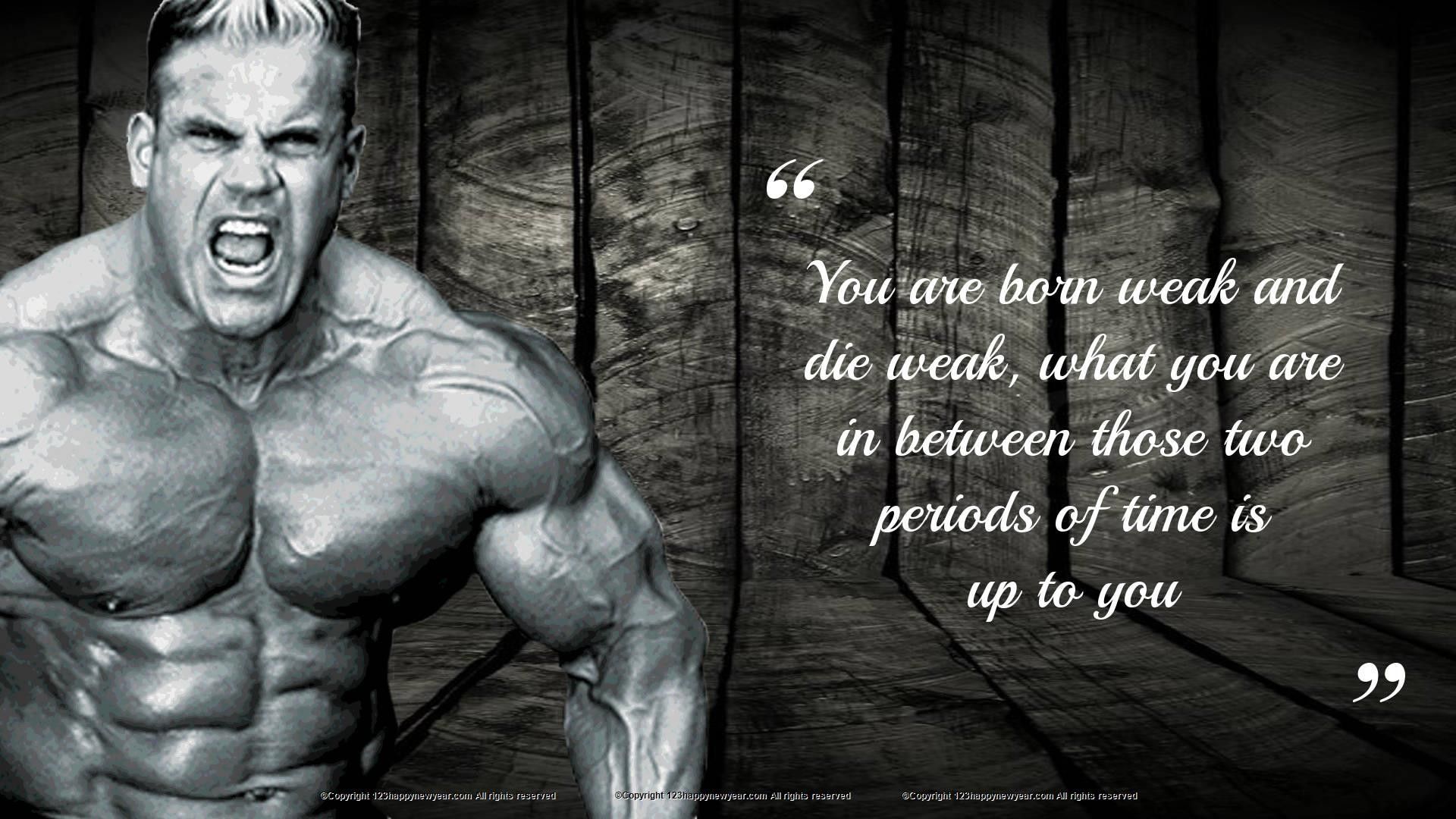 Gym Aesthetic Wallpapers - 4k, HD Gym Aesthetic Backgrounds on WallpaperBat