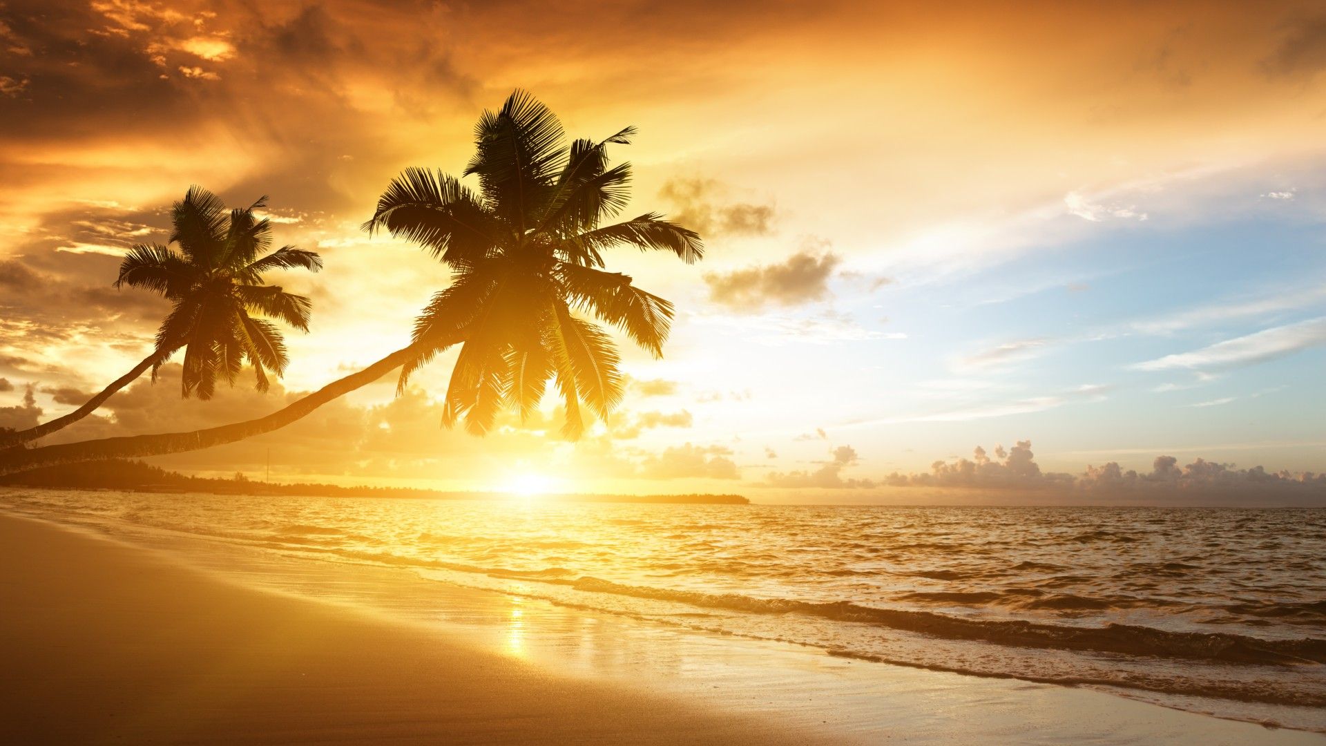 Tropical Beach Sunrise Wallpapers - 4k, HD Tropical Beach Sunrise ...