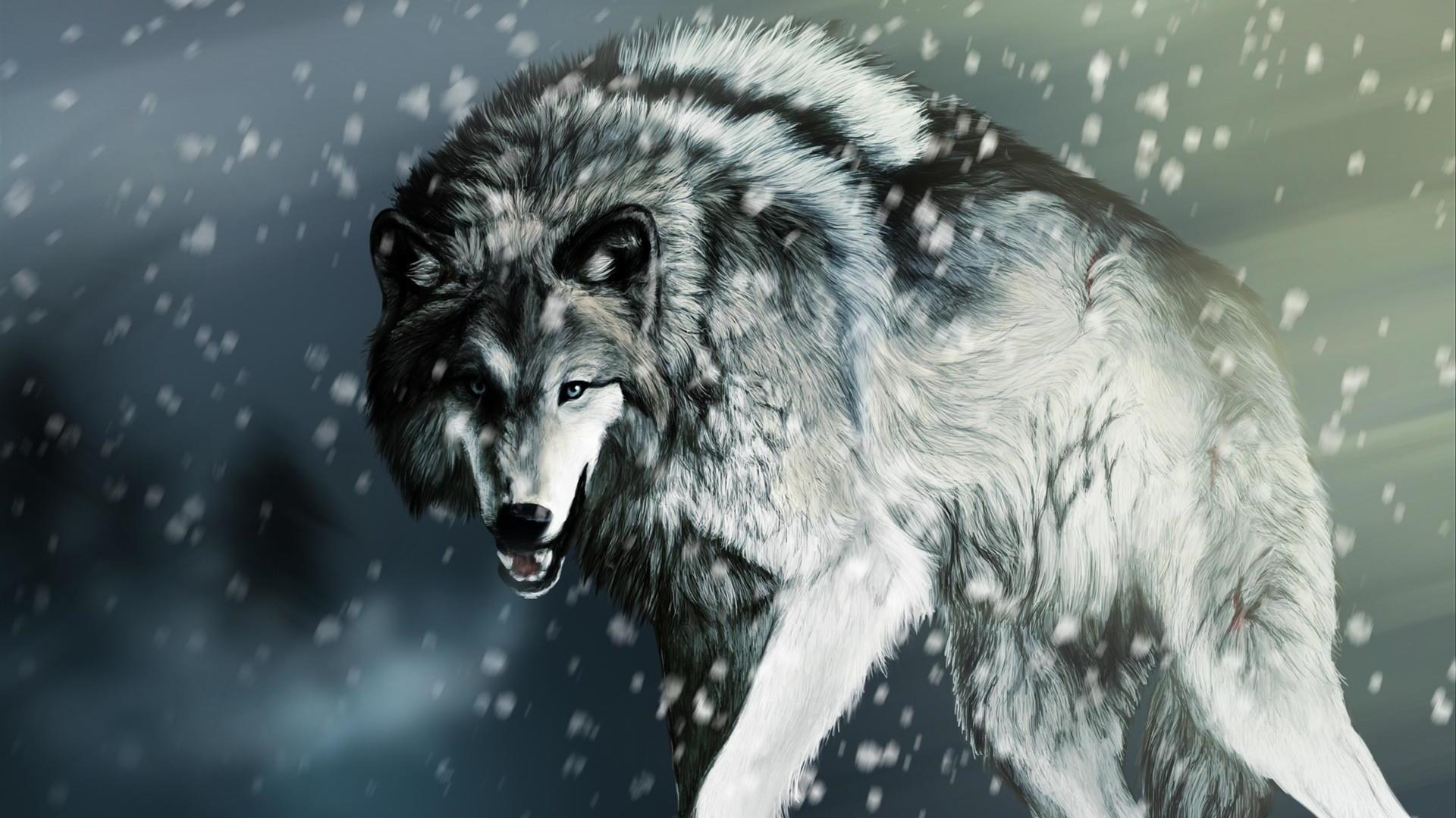 Wolf Nature Wallpapers - 4k, HD Wolf Nature Backgrounds on WallpaperBat