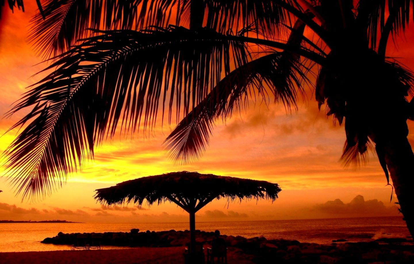 Palm Tree Beach Sunset Wallpapers 4k Hd Palm Tree Beach Sunset Backgrounds On Wallpaperbat 7615