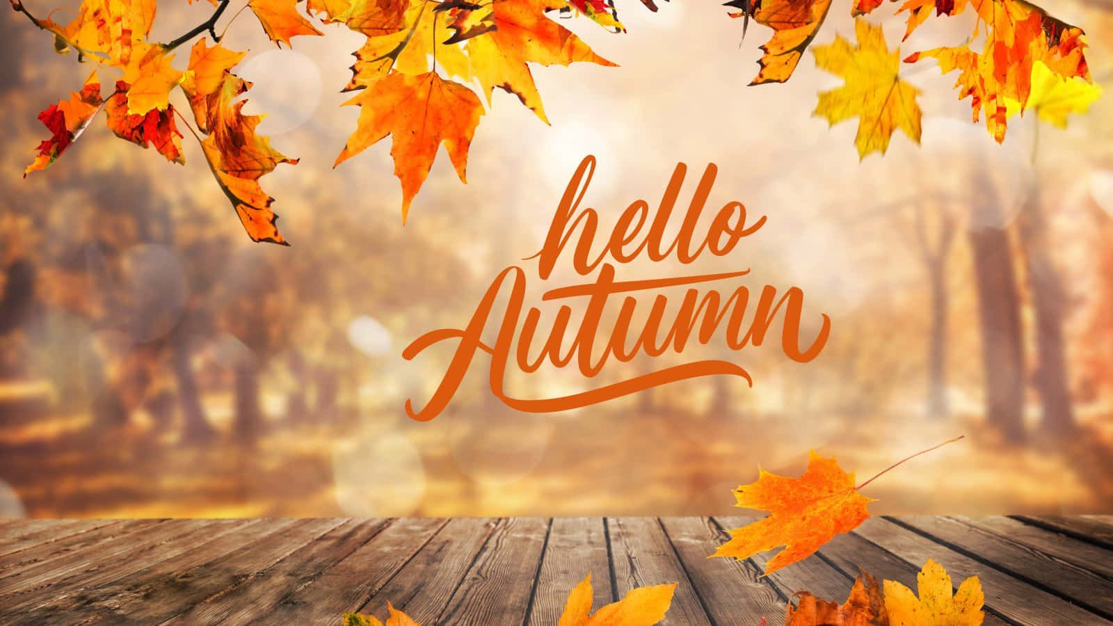 Hello Autumn Wallpapers - 4k, Hd Hello Autumn Backgrounds On Wallpaperbat