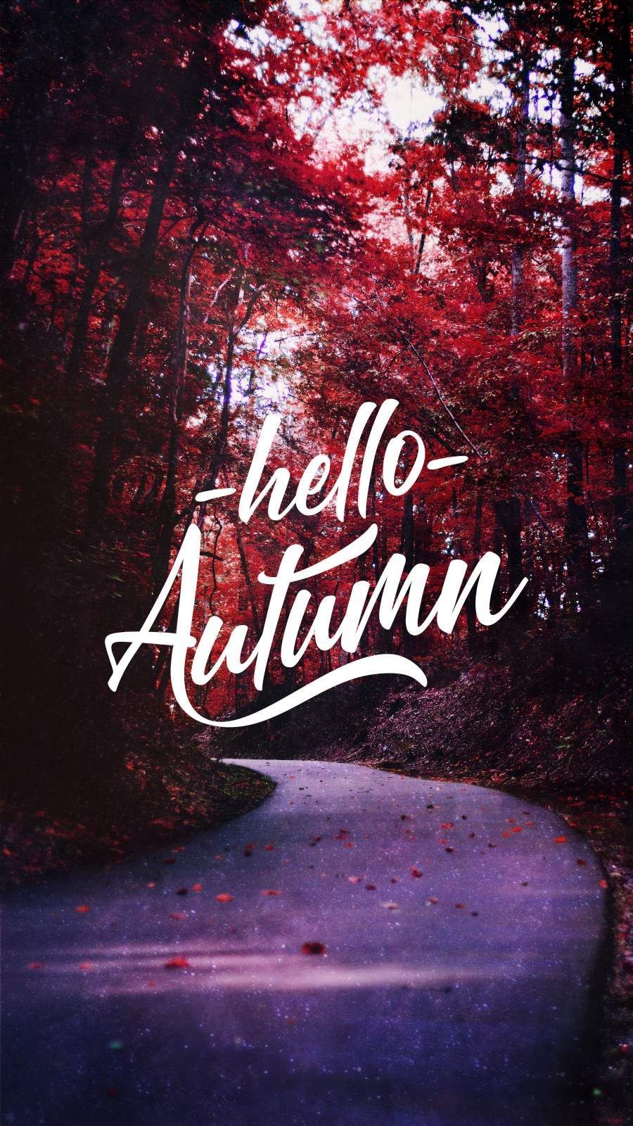 Hello Autumn Wallpapers 4k Hd Hello Autumn Backgrounds On Wallpaperbat