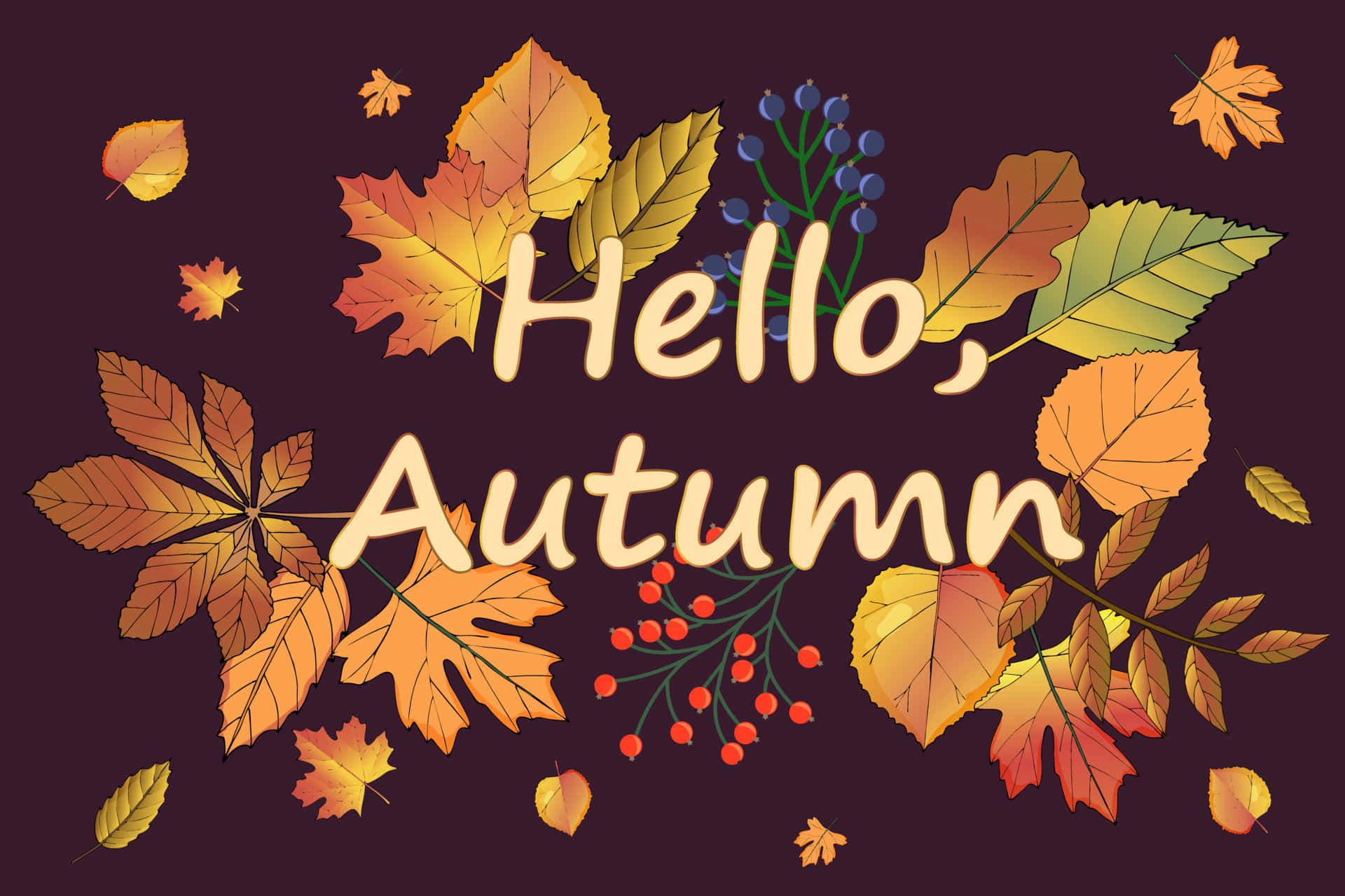 Hello Autumn Wallpapers 4k Hd Hello Autumn Backgrounds On Wallpaperbat